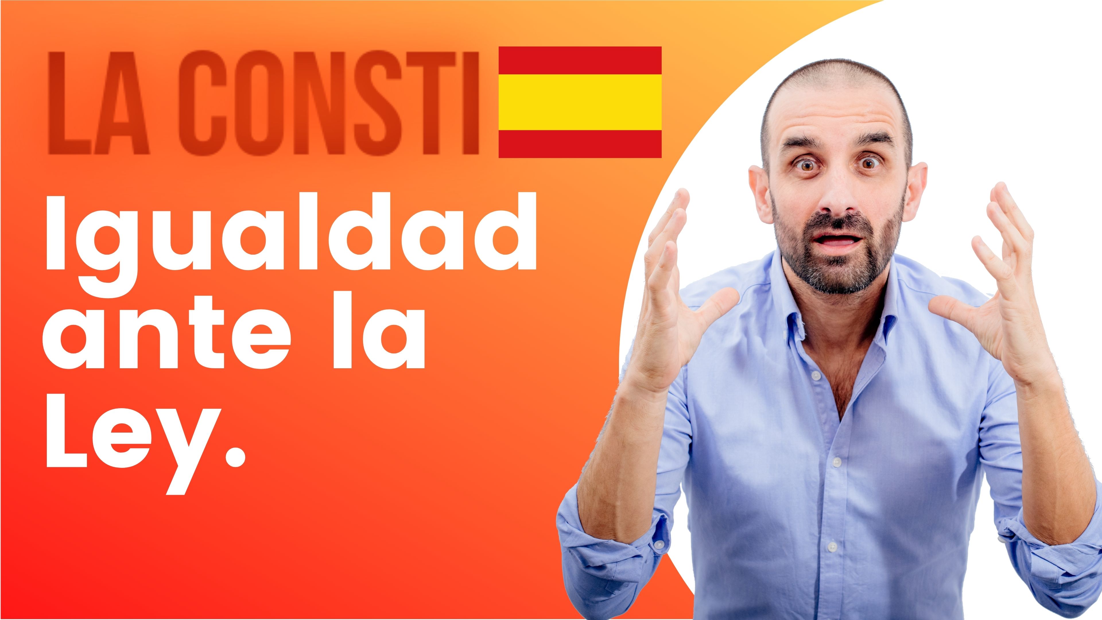 ARTÍCULO 14 - Igualdad ante la Ley. 🇪🇸