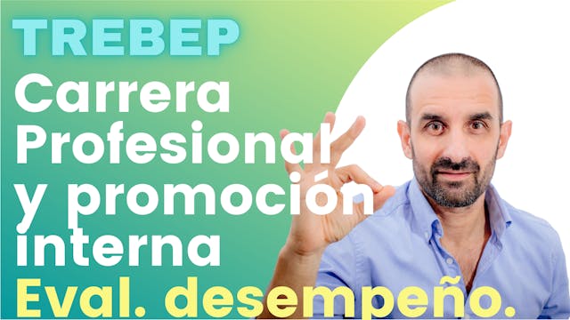 ARTÍCULOS 16-20 - Carrera profesional...