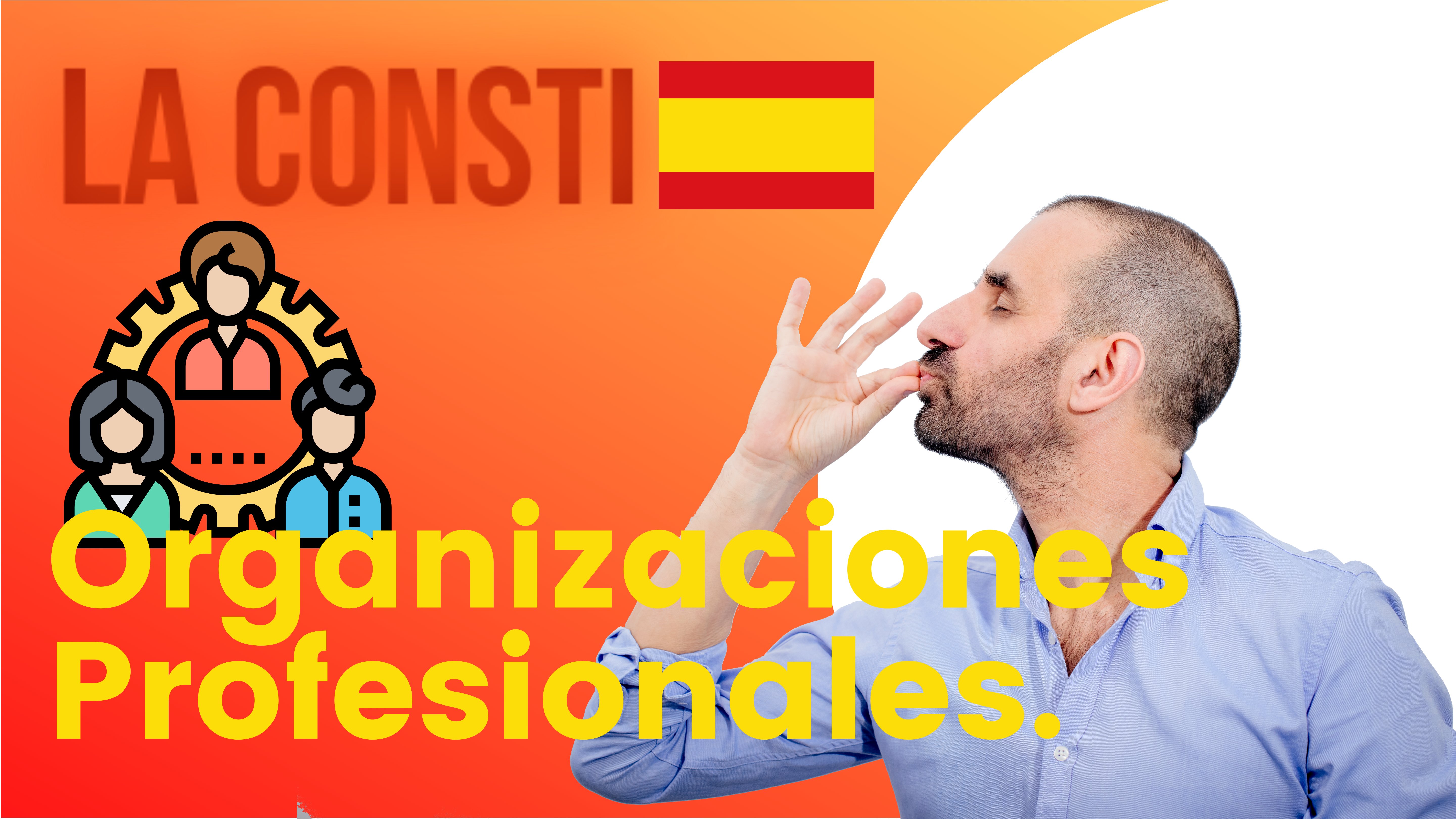 ARTÍCULO 52 - Organizaciones profesionales. 🇪🇸