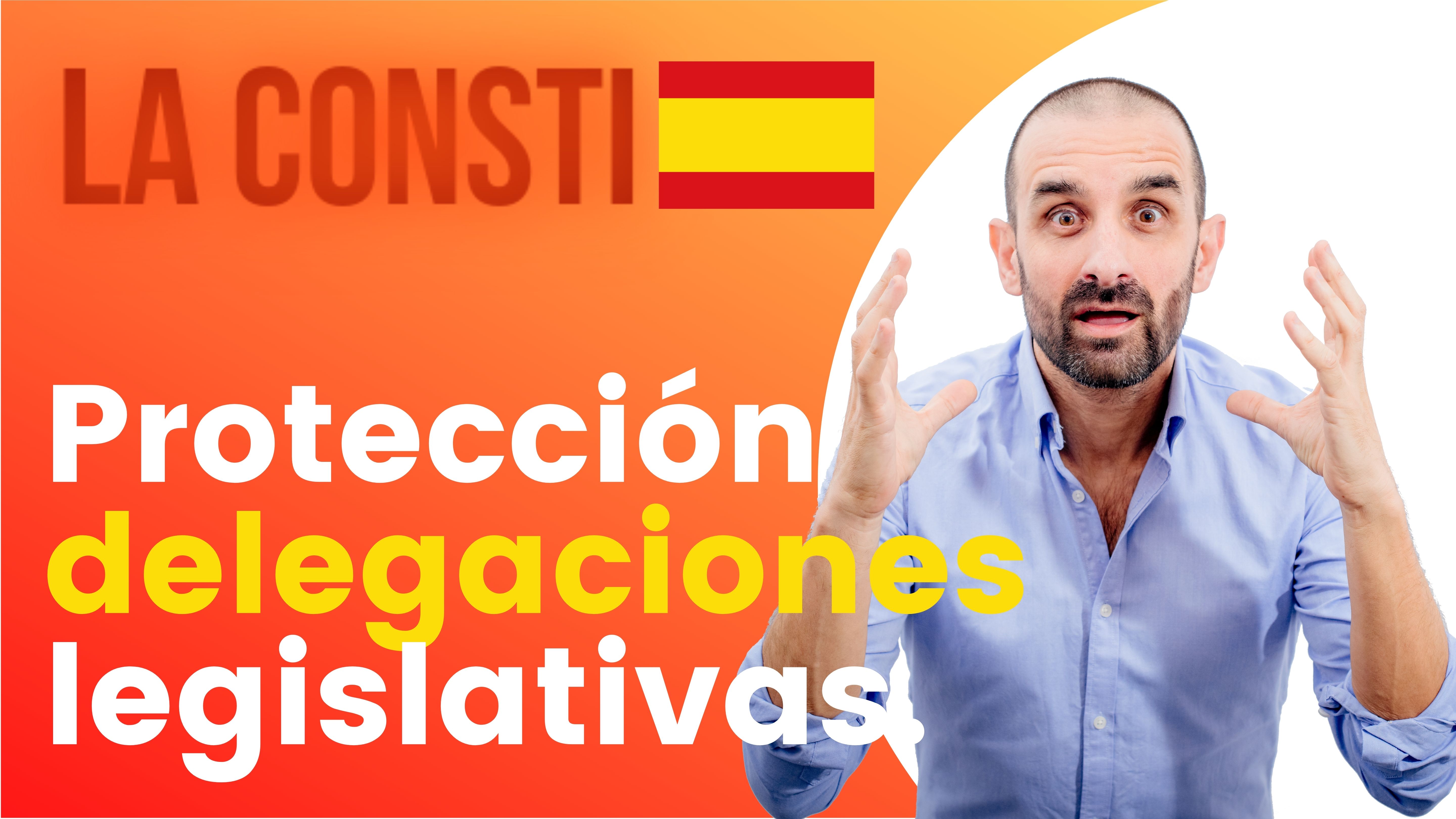 ARTÍCULO 84 - Protección Delegaciones legislativas. 🇪🇸