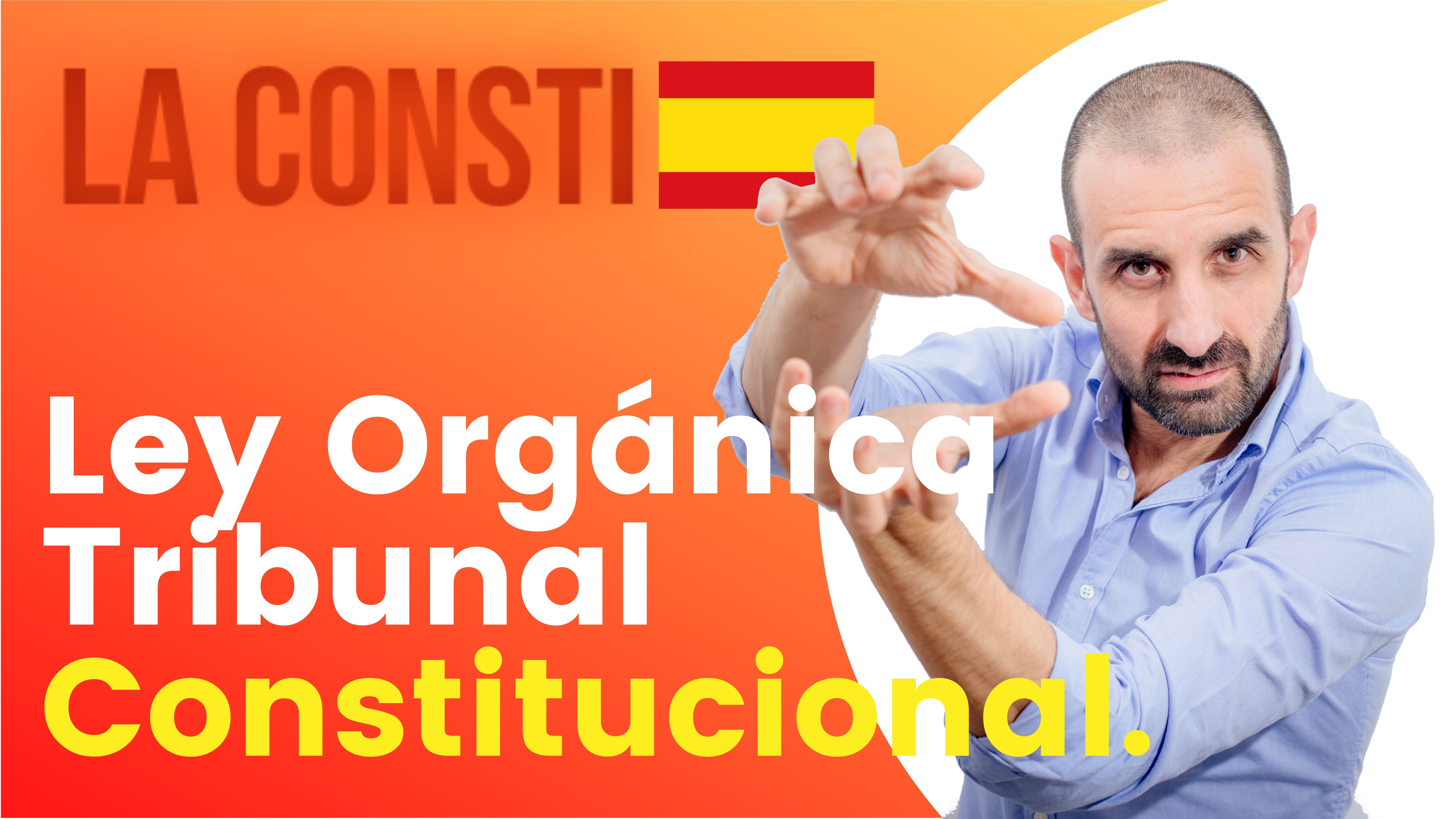 ARTÍCULO 165 - Ley Orgánica del Tribunal Constitucional. 🇪🇸