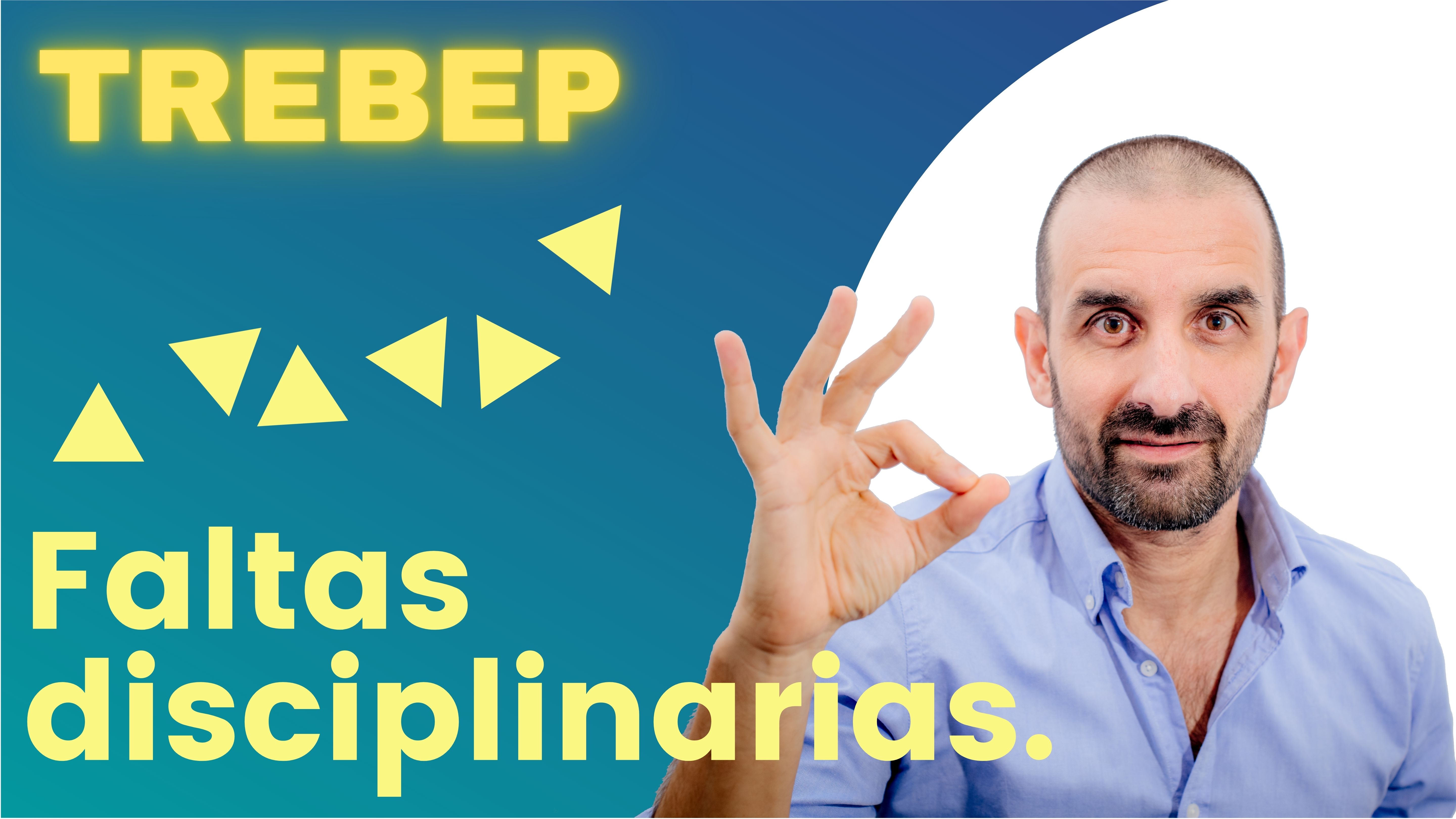 ARTÍCULO 95 - Faltas disciplinarias.