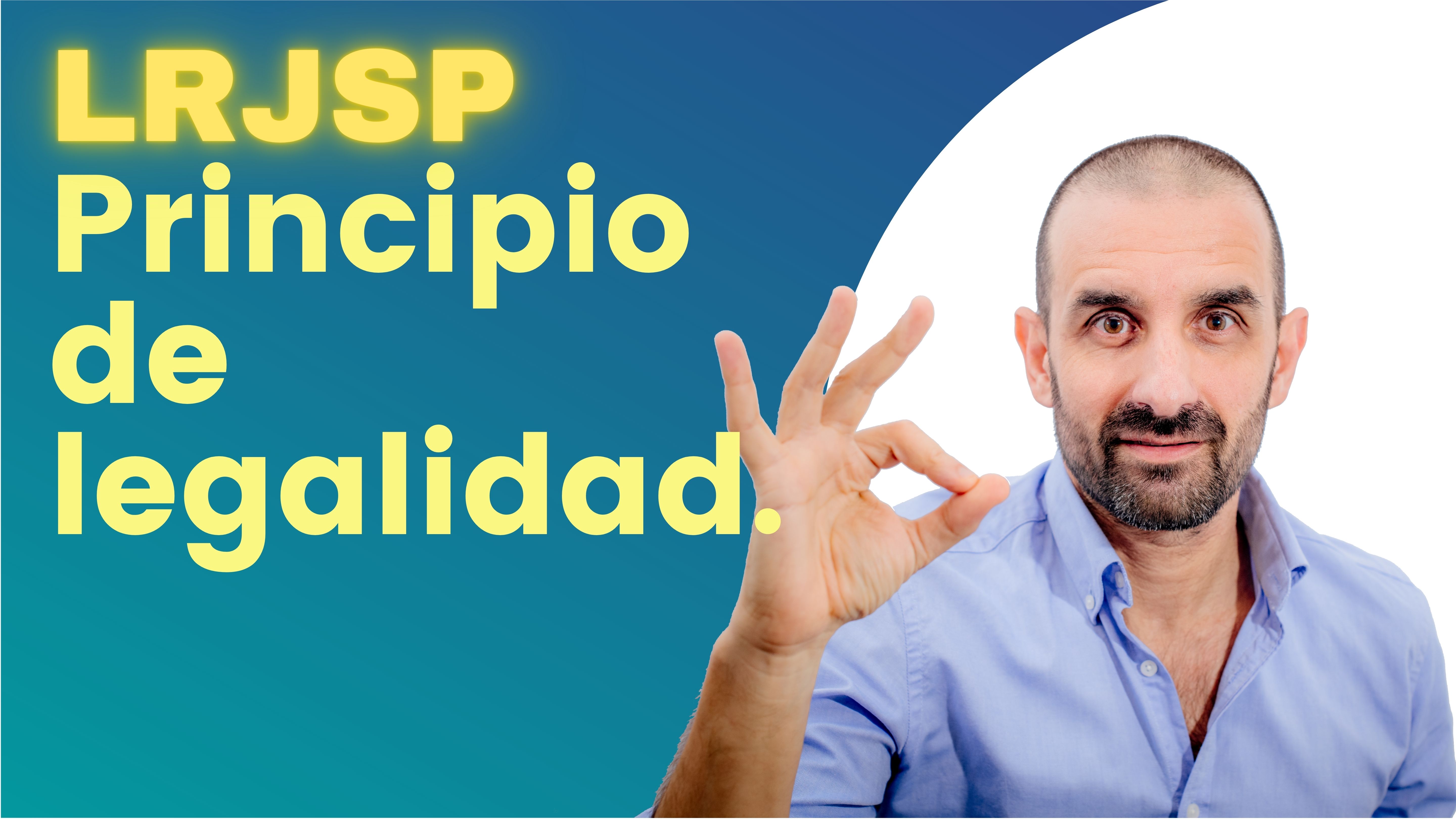 Artículo 25 - Principio de Legalidad.