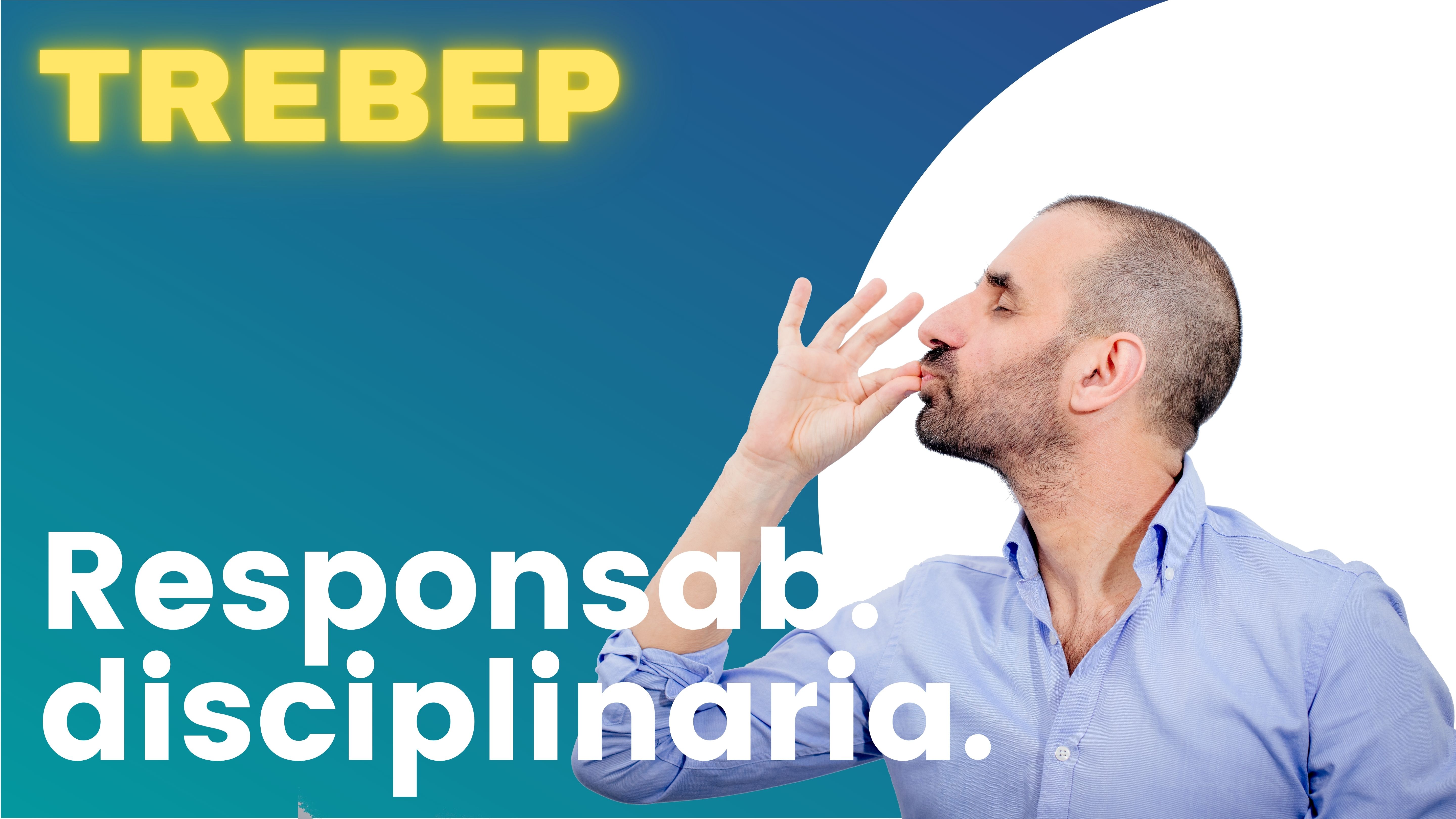 ARTÍCULO 93 - Responsabilidad disciplinaria.