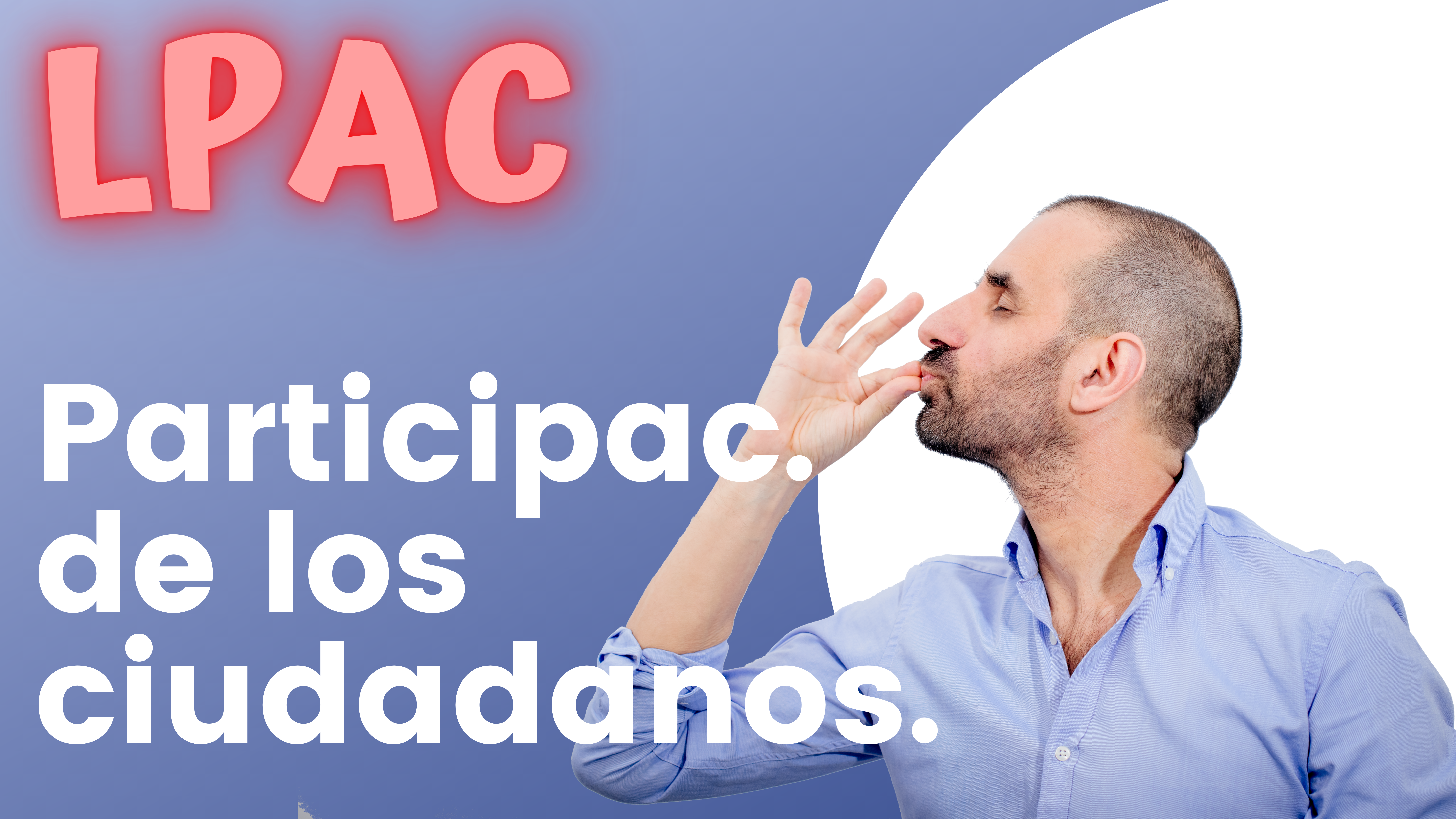 ARTÍCULO 133 - Participación de los ciudadanos.