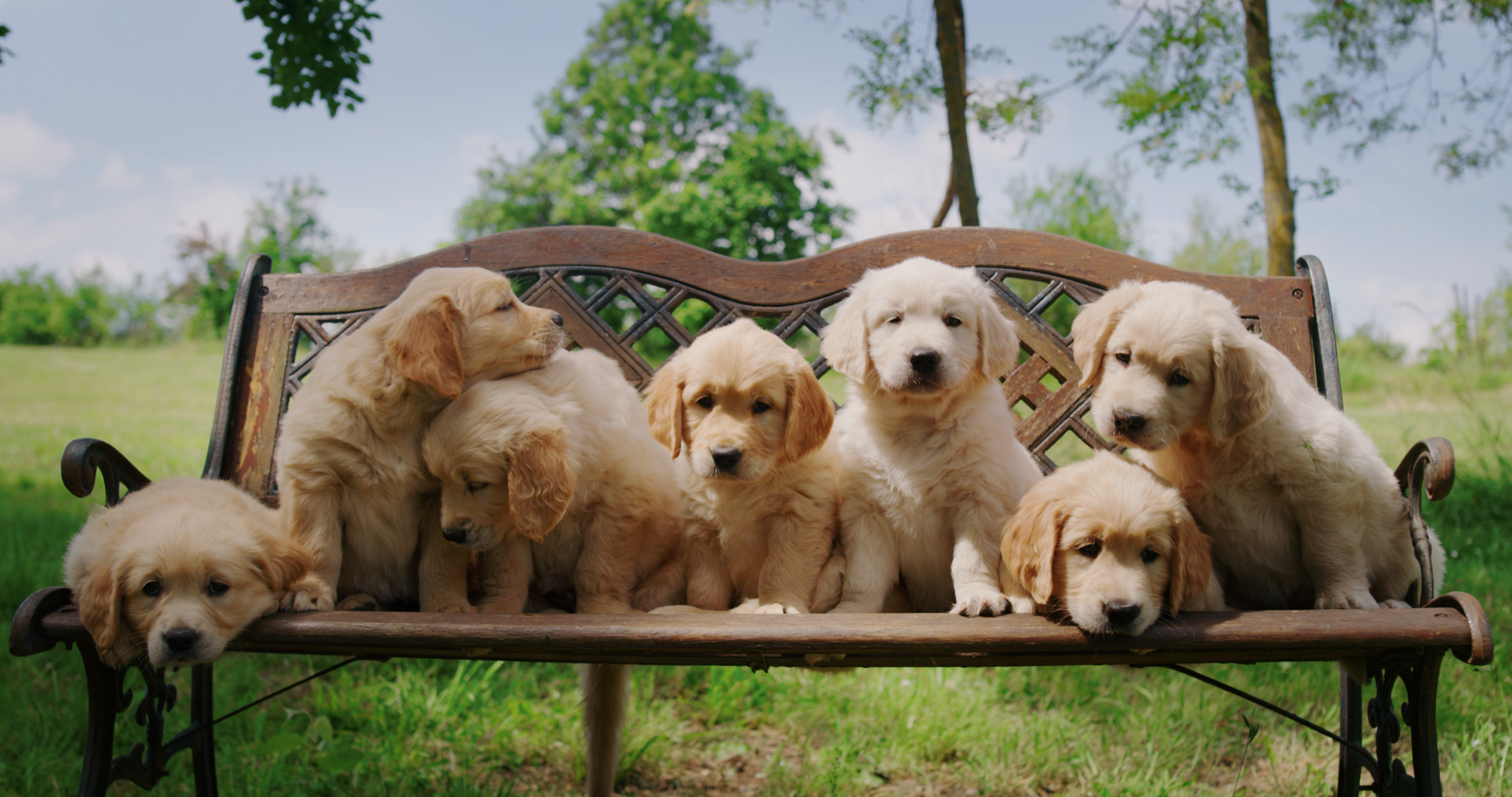 18 When You See A Dangerous Situation