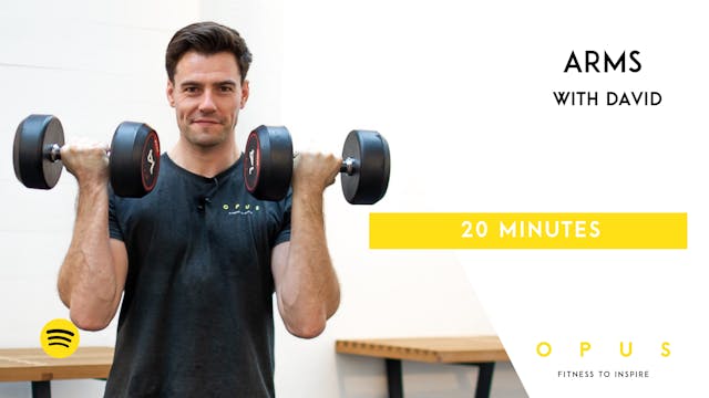05. Arm Strength | David | 20 minutes