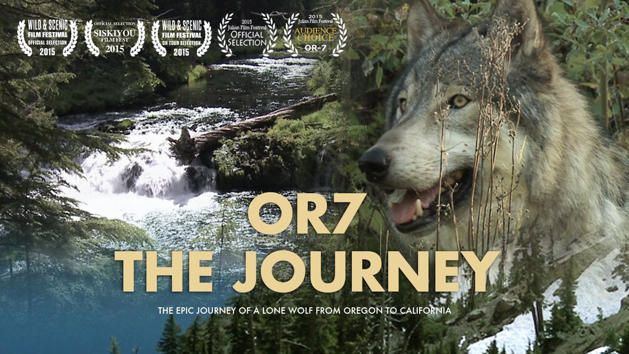 OR7 - THE JOURNEY