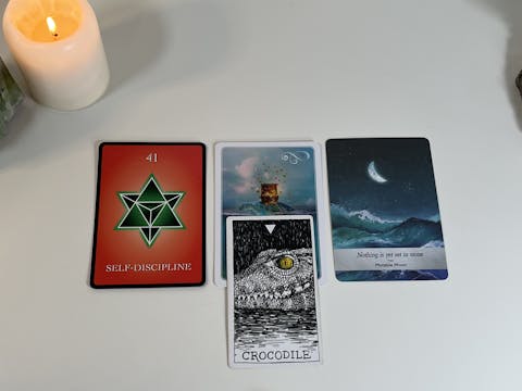 Add-on Relationship Vibration—pile 3