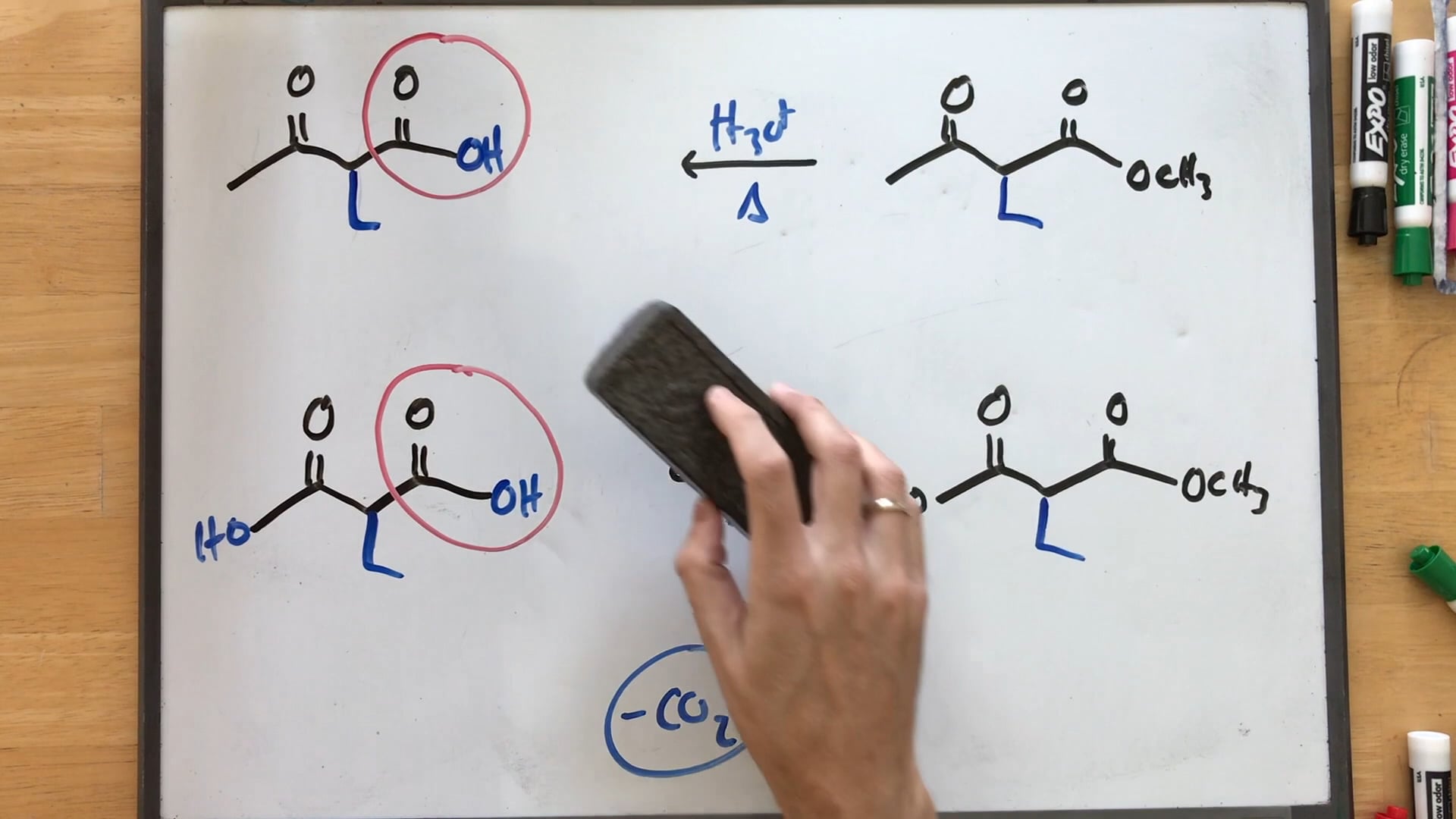 The OChem Whisperer - Discover What's Possible Video