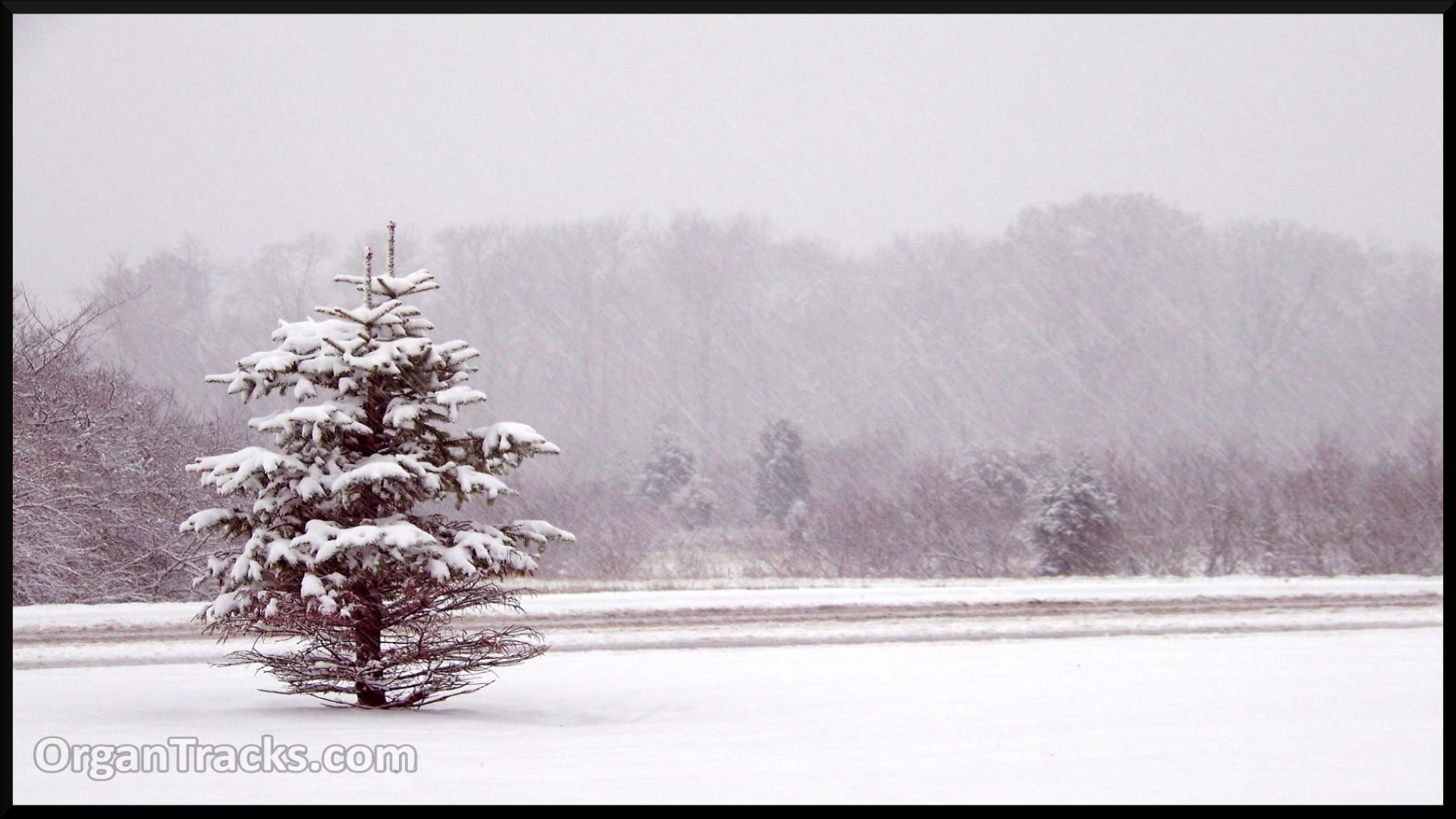 See Amid The Winter's Snow (OXFORD, 6 Verses)