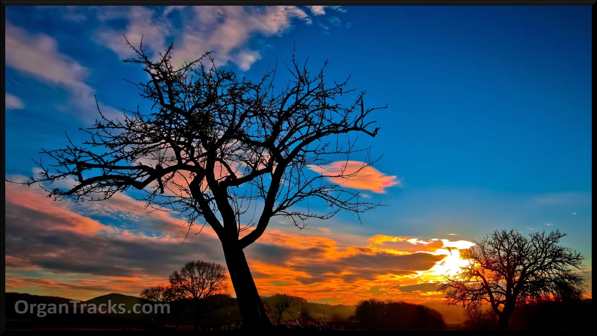 Courage, brother! do not stumble (COU... 3 Verses)