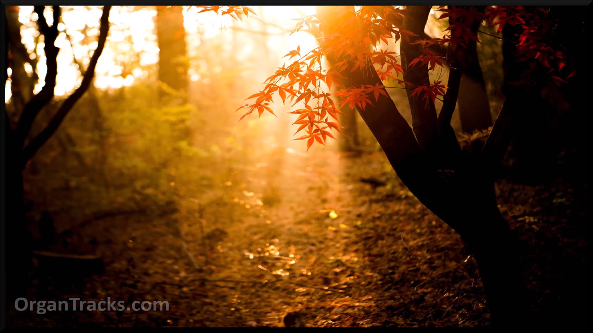 Lord of all being, throned...(OMBERSLEY, 5 Verses)