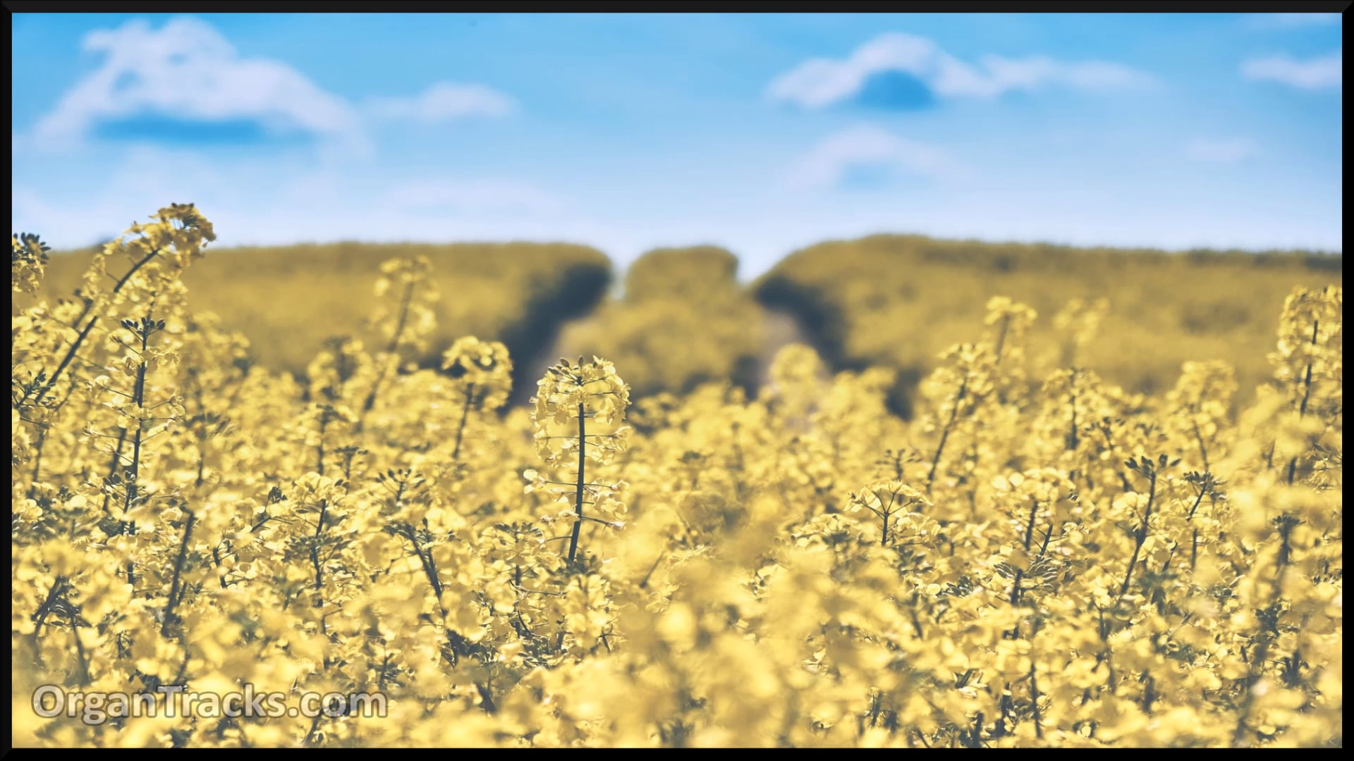 God, whose farm is all creation (SHIPSTON, 3 Verses)