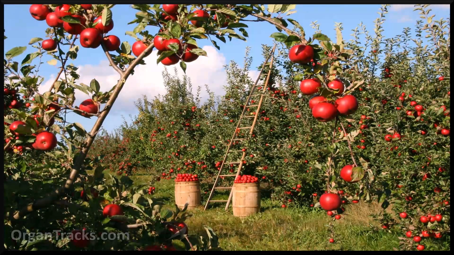 Come, you thankful people (ST GEORGE'S.. 4 Verses)