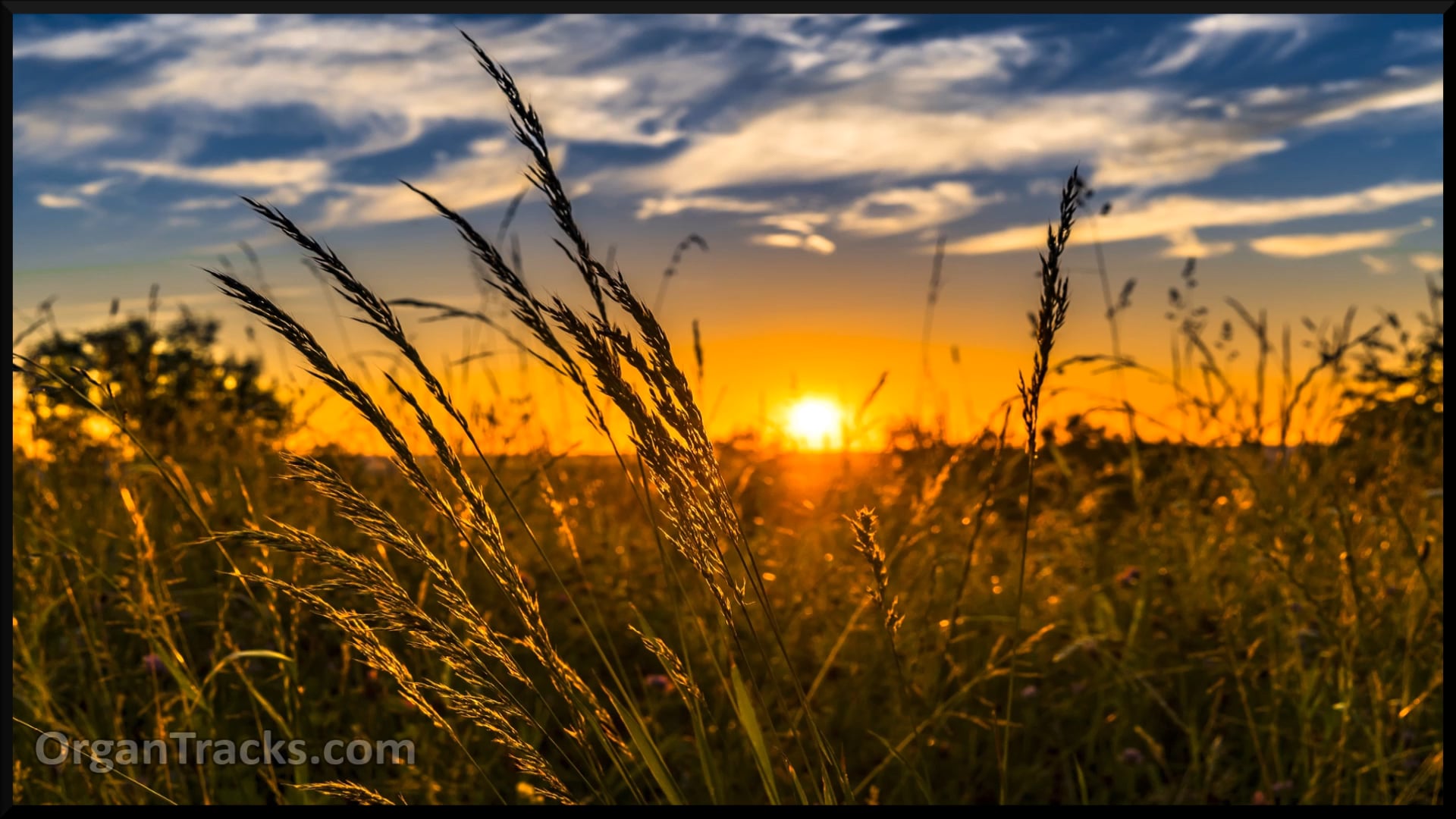 Father, we praise you, now..(CHRISTE S.. 3 Verses)