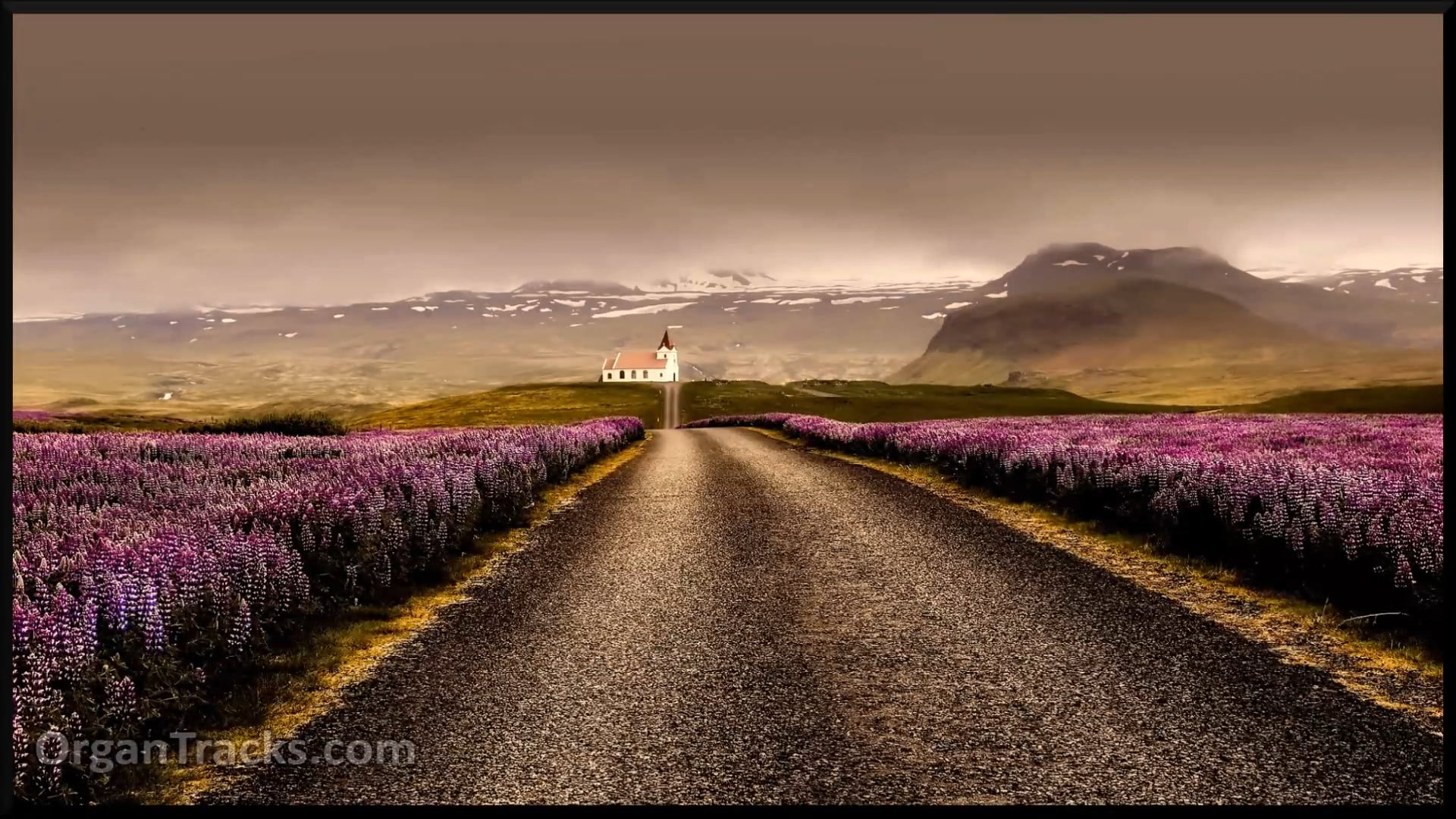 Come, thou long expected Jesus (STUTTG.. 4 Verses)