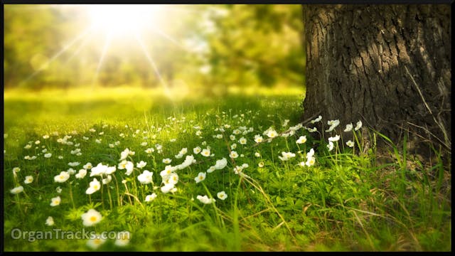 PACHELBEL Johann- Toccata in C