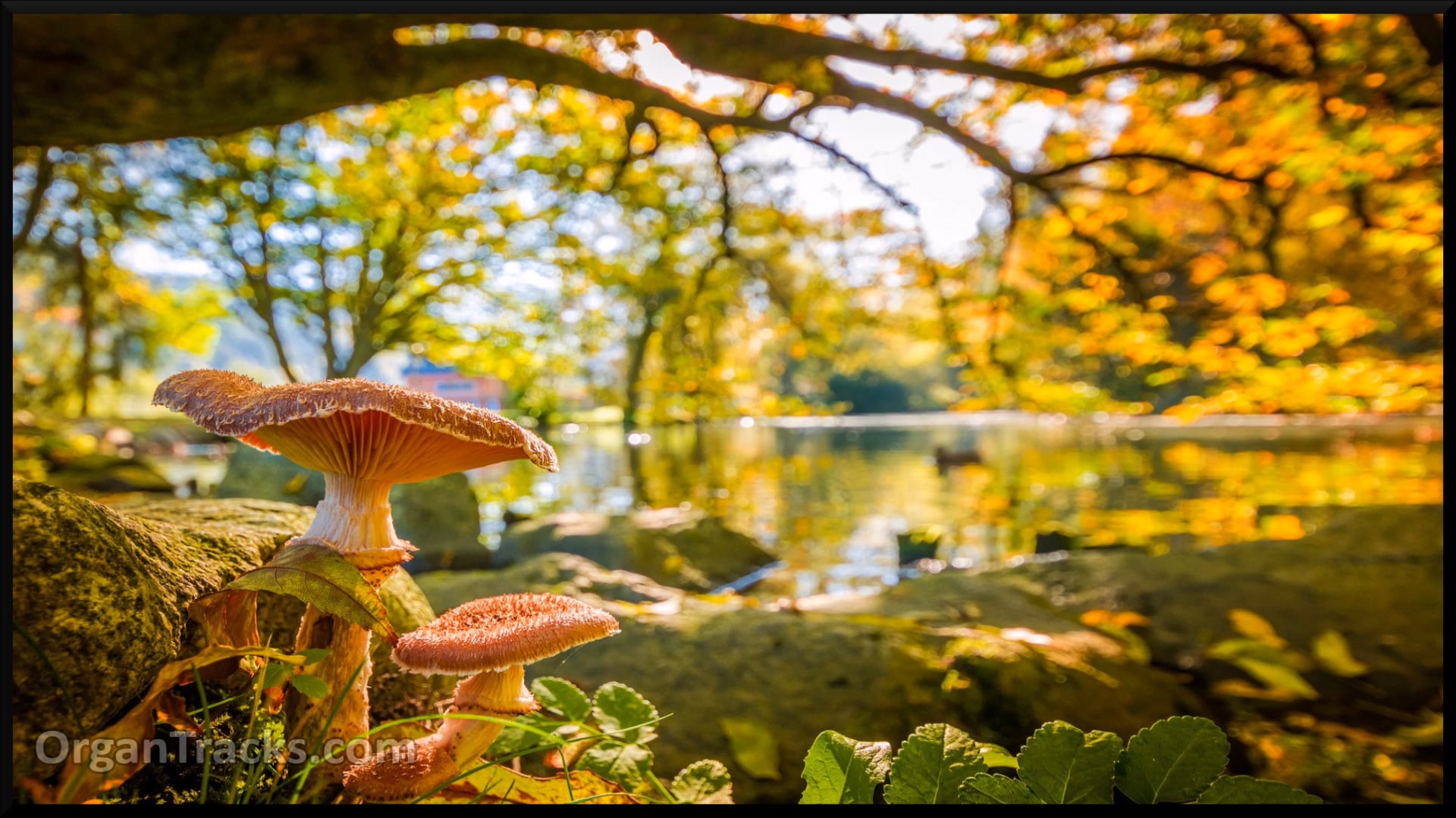 Come, children, join to sing (MADRID, 3 Verses)