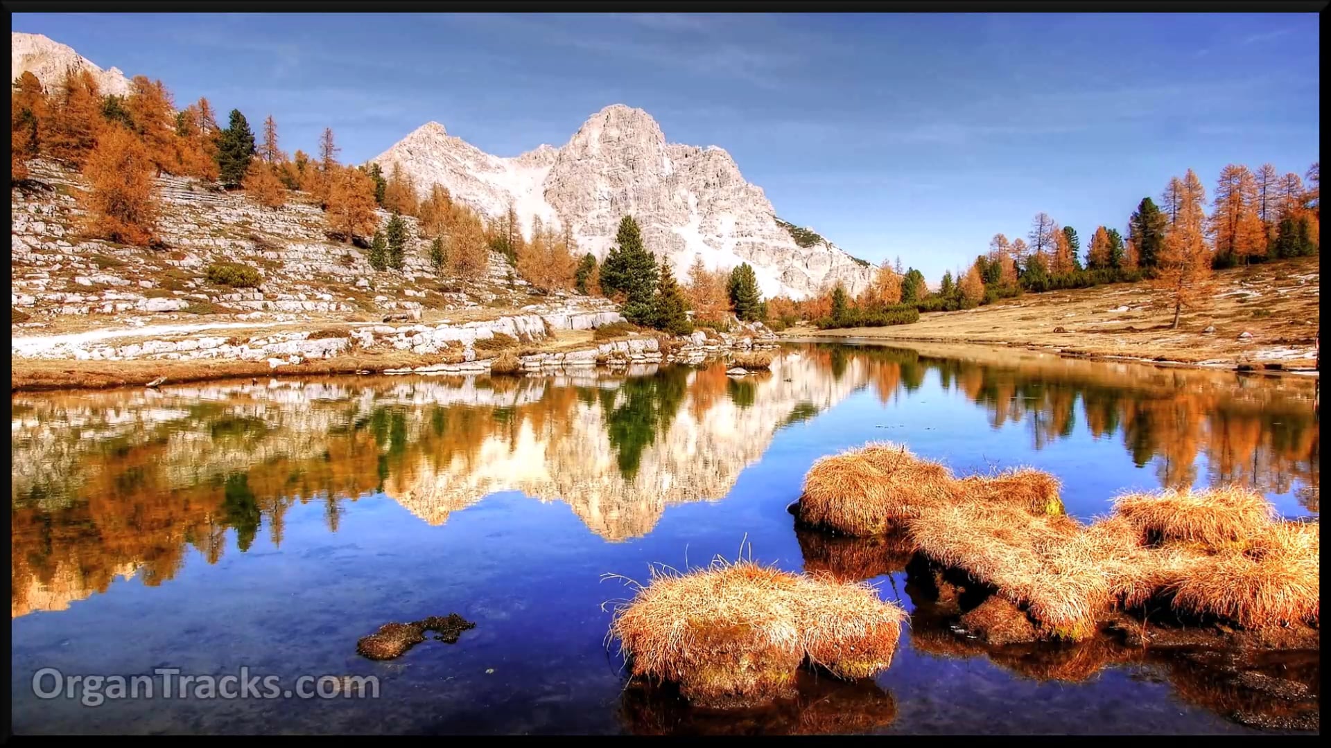 Lord, you sometimes speak... (STUTTGART 5 Verses)