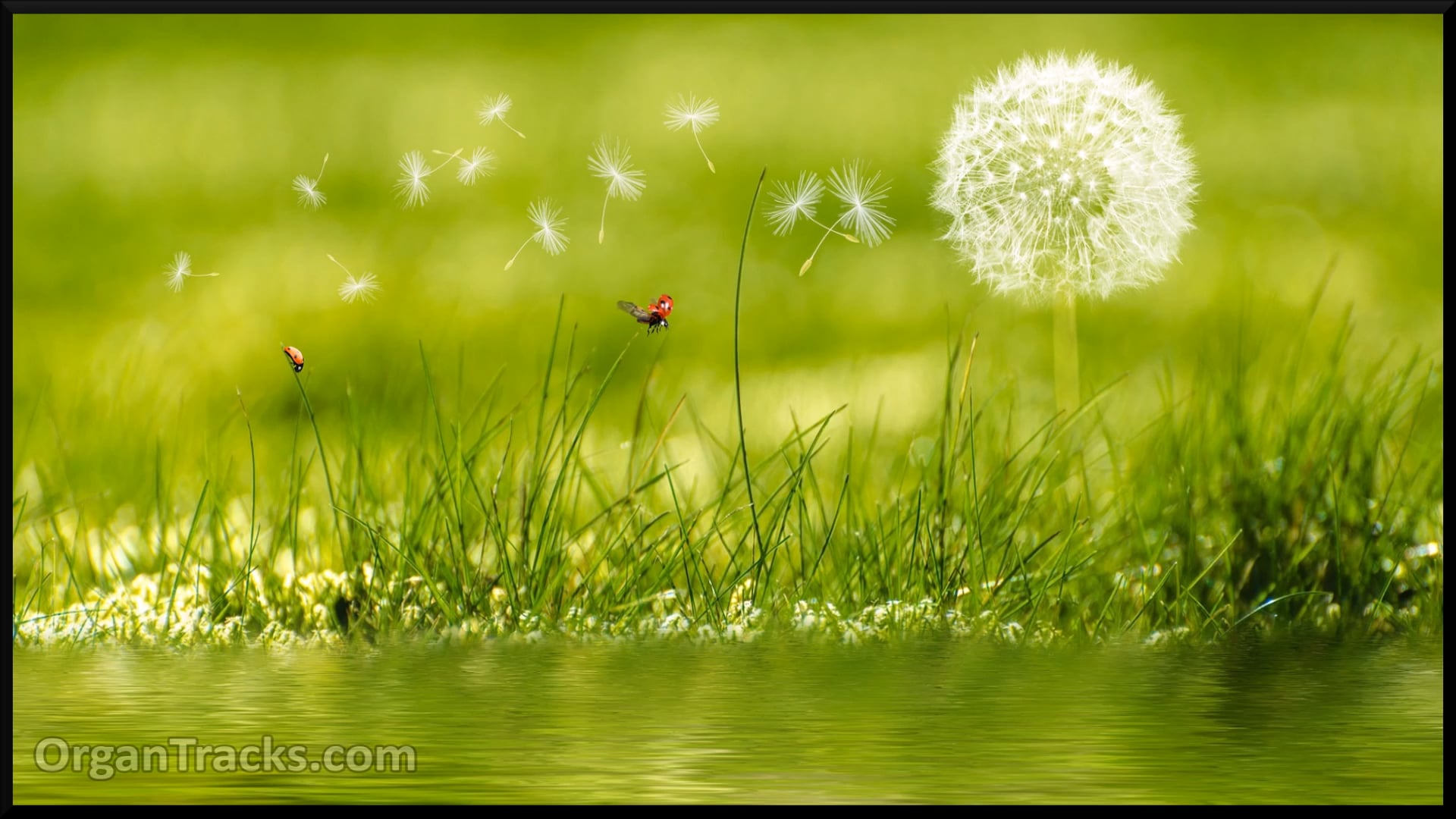 All things bright and beaut..(ROYAL OAK, 4 Verses)