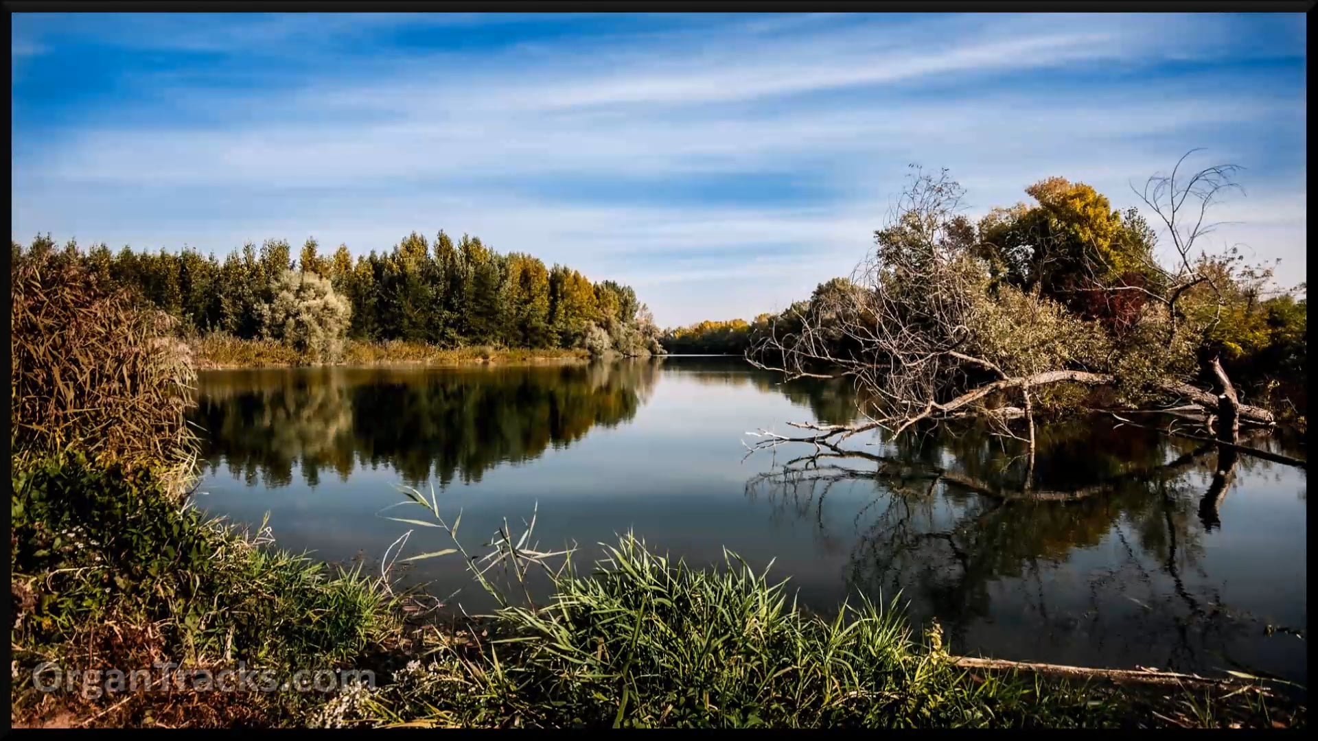 Father most loving...(CHRISTE SANCTORUM, 5 Verses)