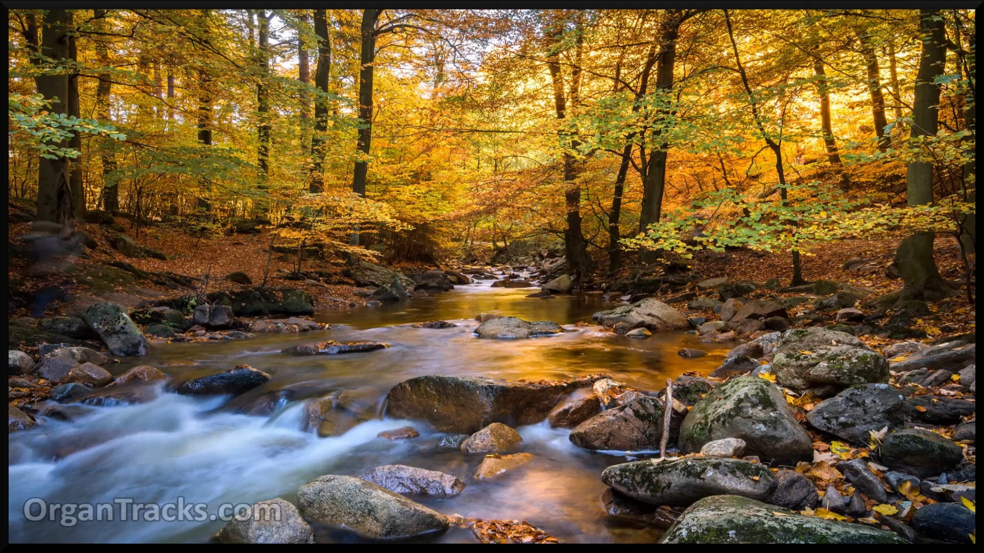 HANDEL G F- Bouree (from The Water Music)
