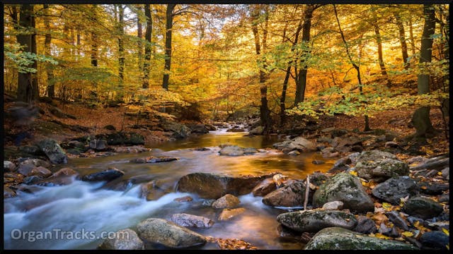 HANDEL G F- Bouree (from The Water Mu...