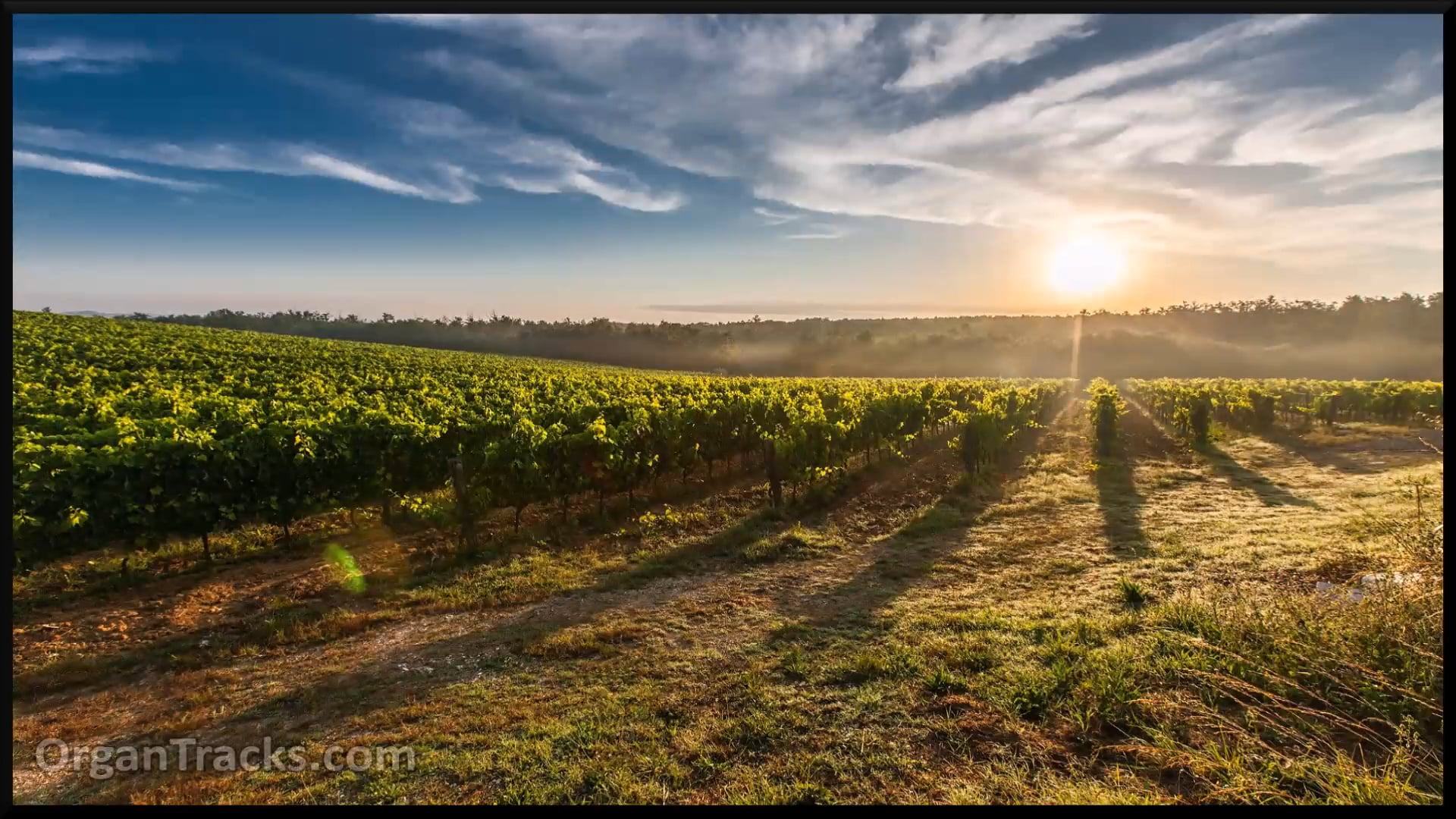 Jesus Christ is risen today (EASTER HY.. 3 Verses)