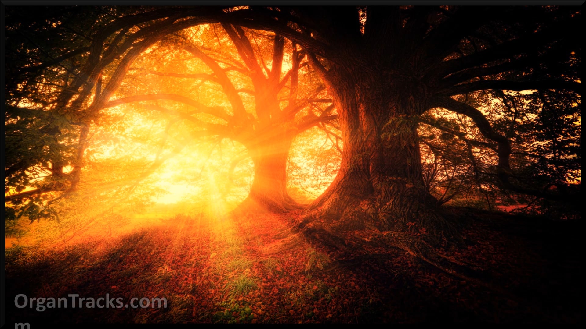 Every new morning (BUNESSAN, 3 Verses)