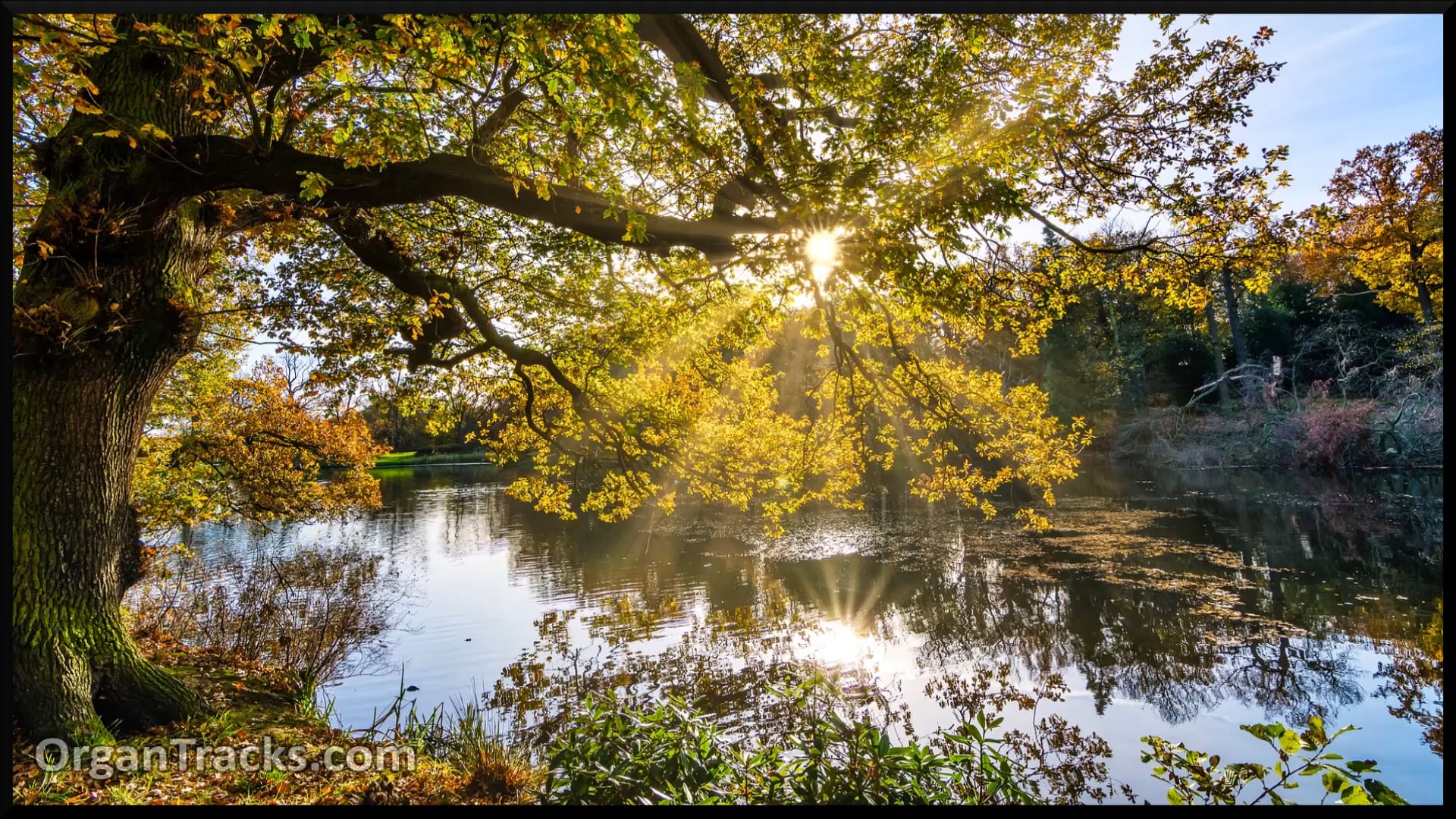 HANDEL G F- Air (from The Water Music)