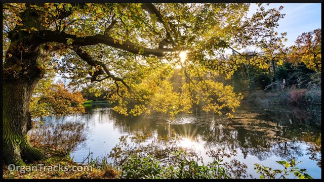 HANDEL G F- Air (from The Water Music)