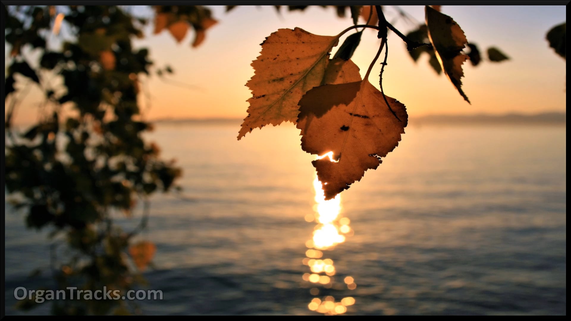 New every morning is the love (TRURO, 5 Verses)