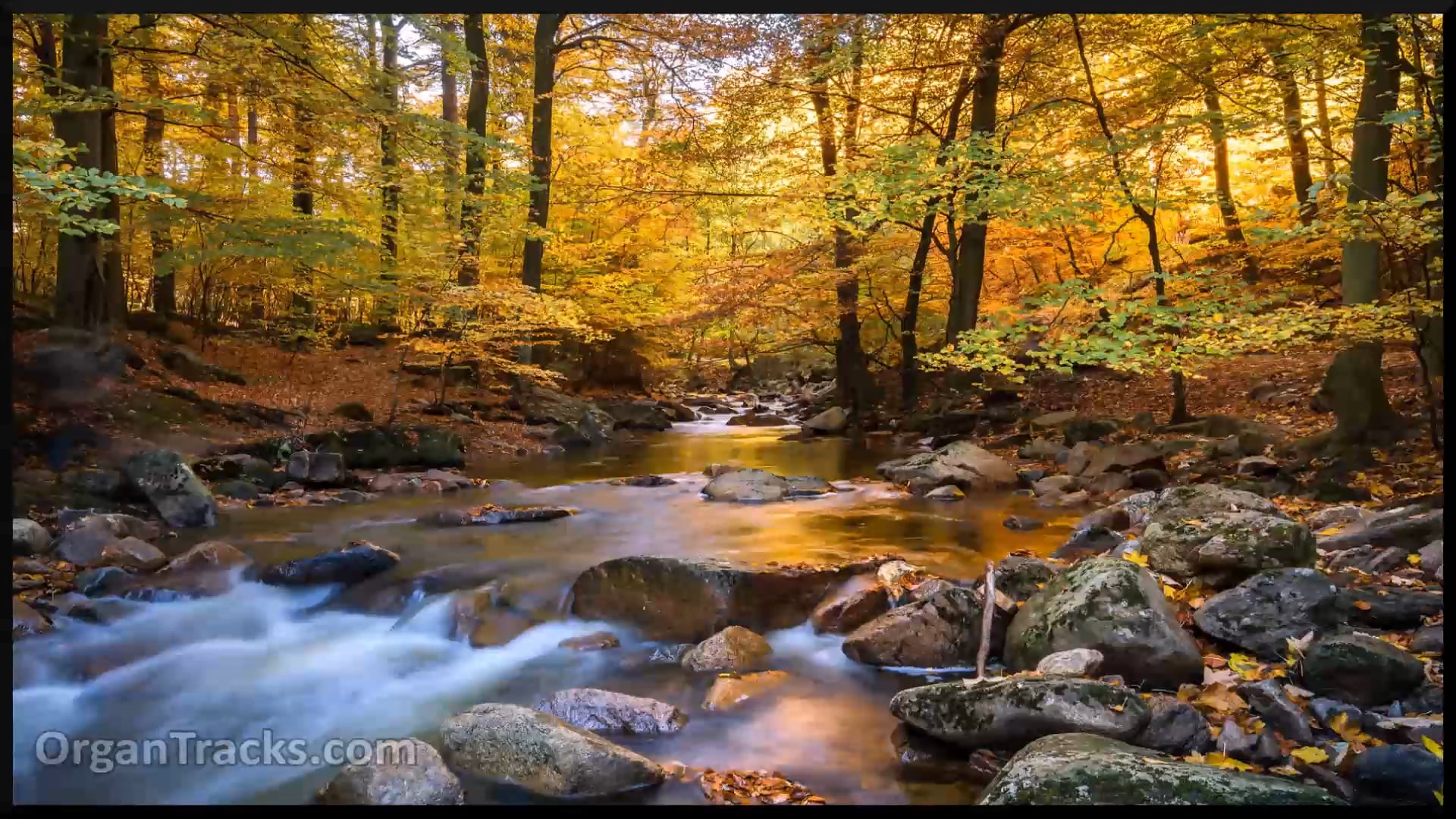 Kyrie Eleison (2 Times)