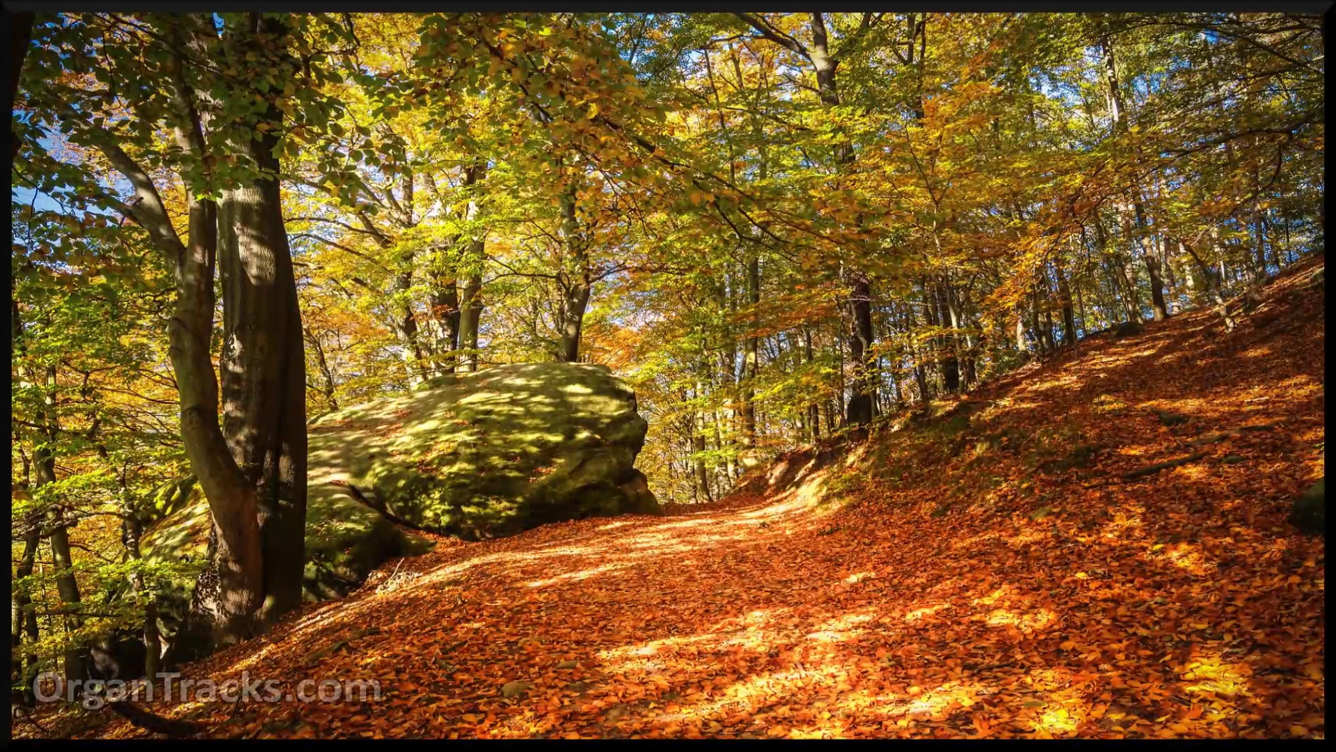 Child of blessing, child of promi..(SH.. 2 Verses)