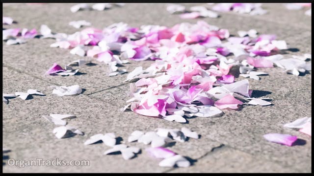 WAGNER Richard- Bridal Chorus (Loheng...