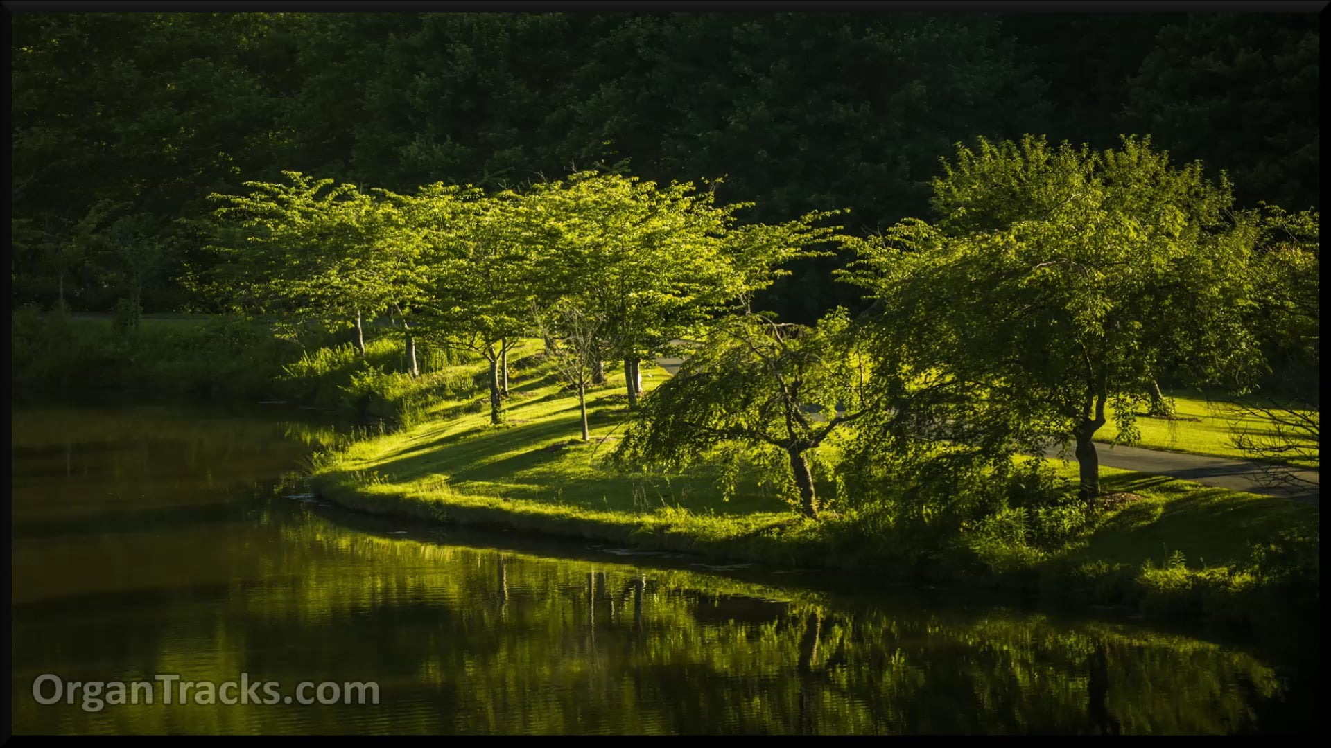 BACH J S- Jesu Joy of Man's Desiring