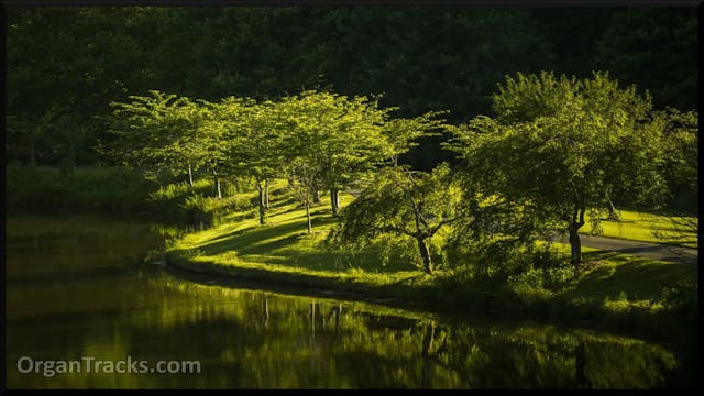 BACH J S- Jesu Joy of Man's Desiring