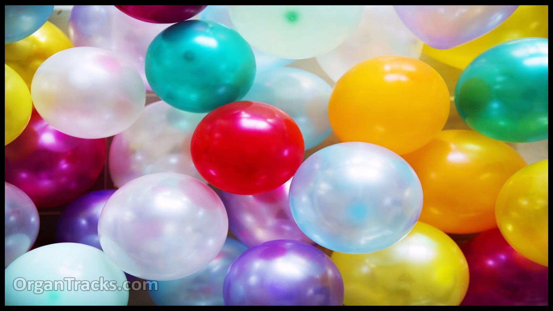 Happy birthday to you! (1 Verse)