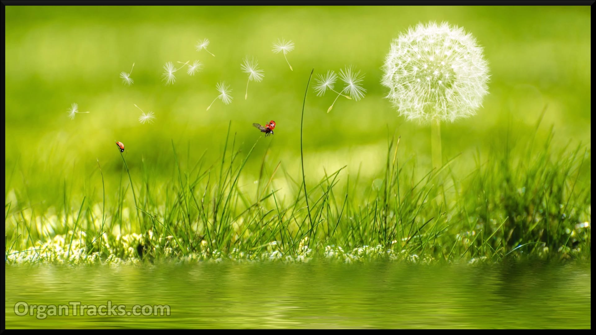 All things bright and beaut..(ALL THIN.. 4 Verses)