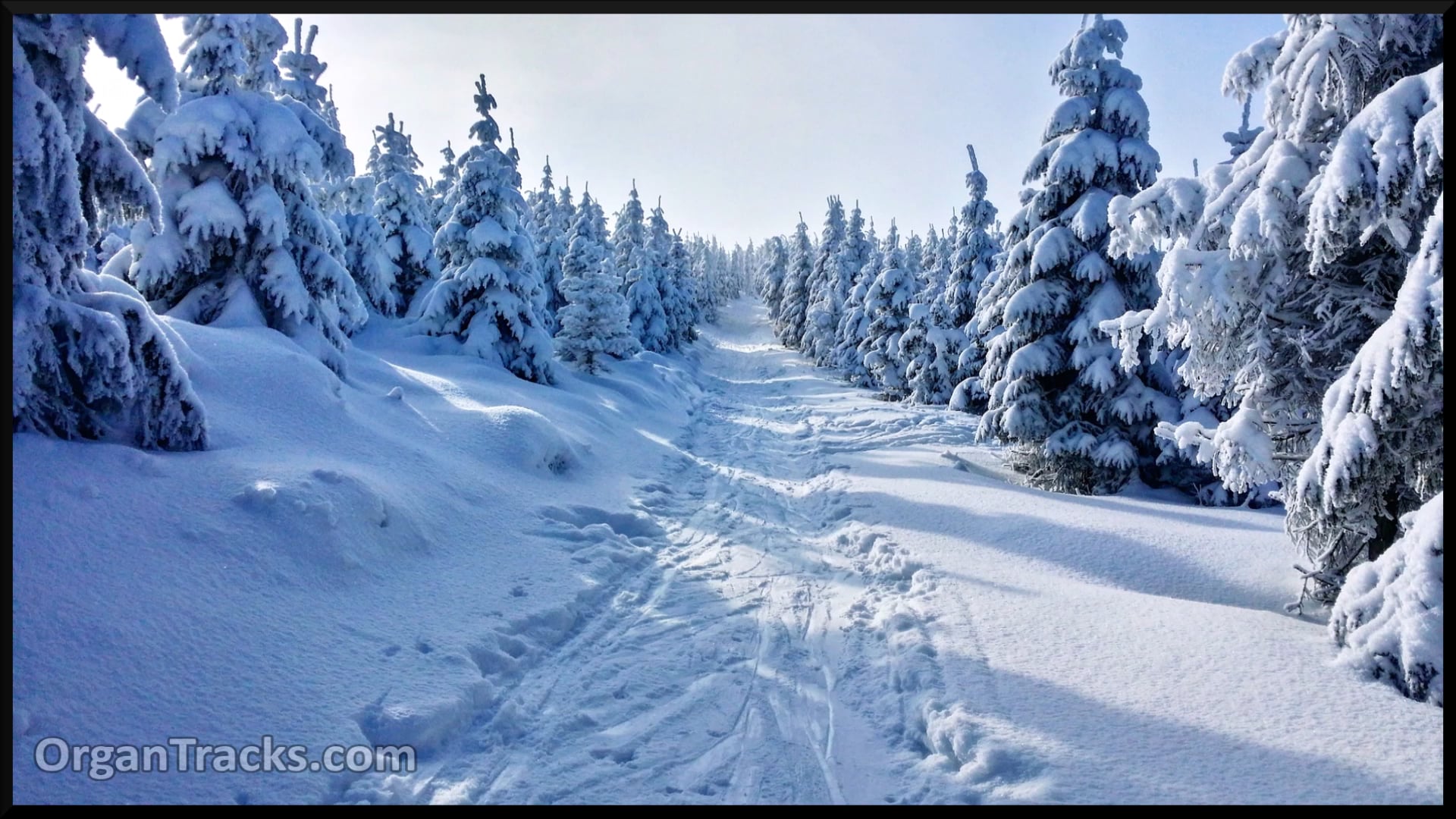 Good King Wenceslas Looked Out (TEMPUS ADEST FLORIDUM, 5 Verses)