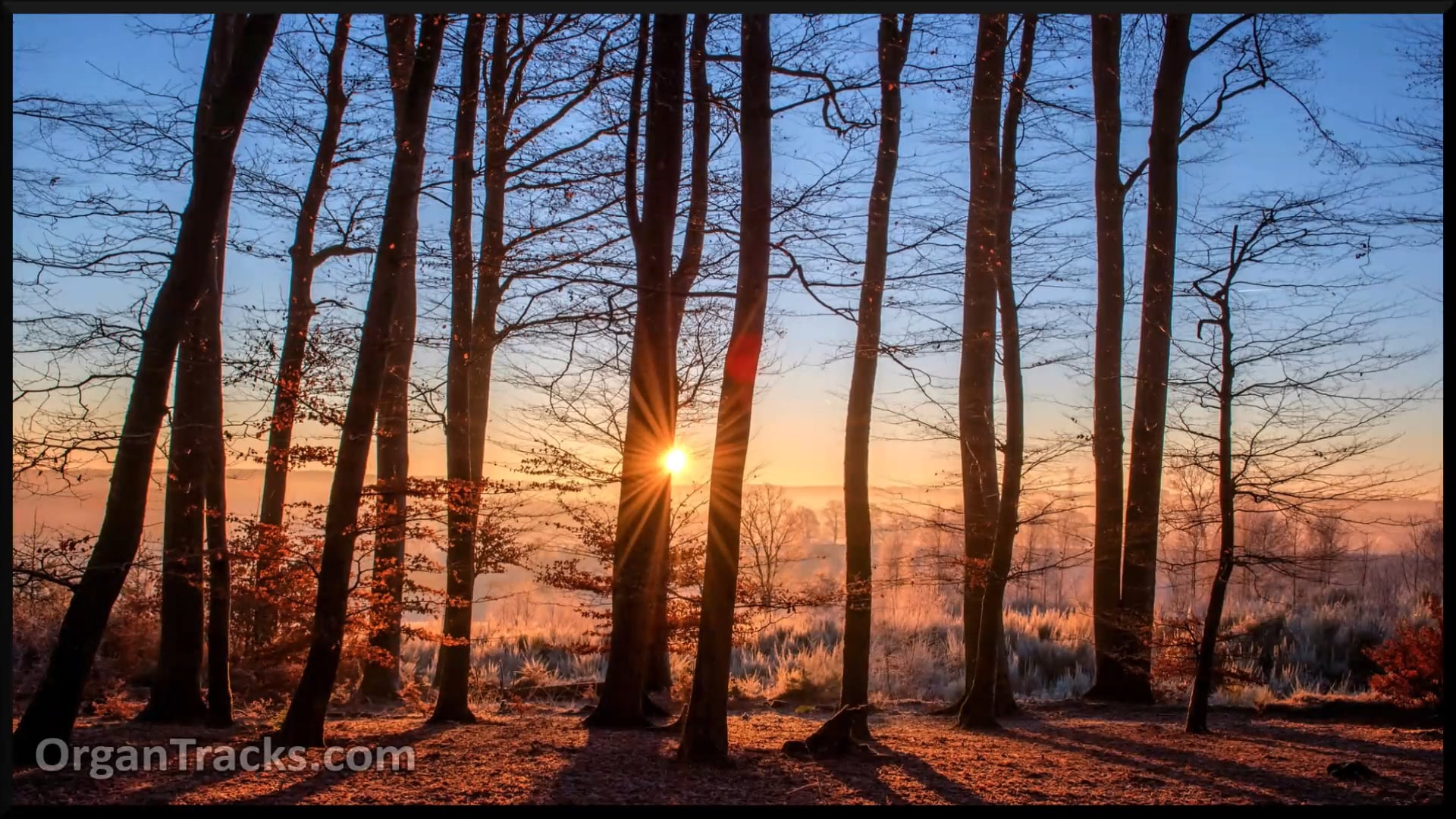 Christians Awake, Salute The Happy Morn (YORKSHIRE, 6 Verses)