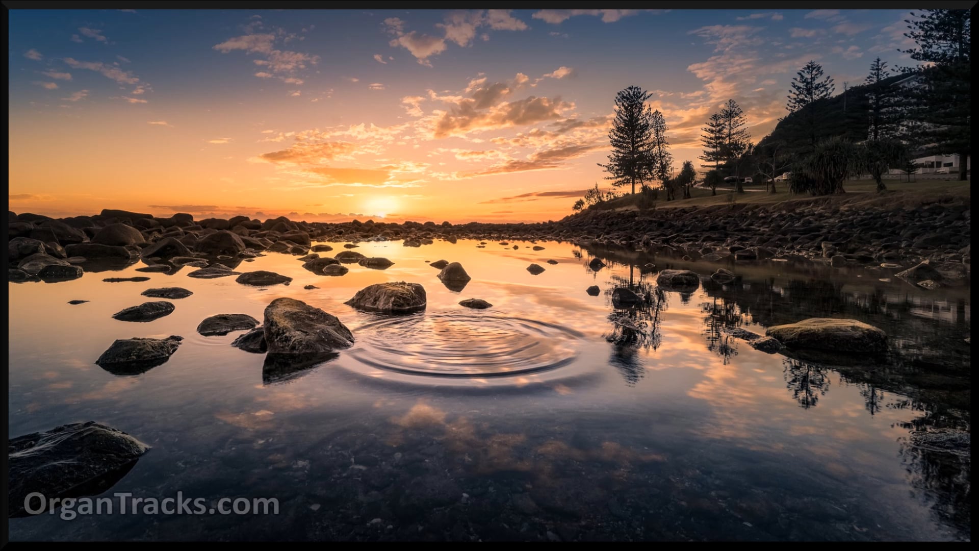 Drop, drop, slow tears (SONG 46, 3 Verses)