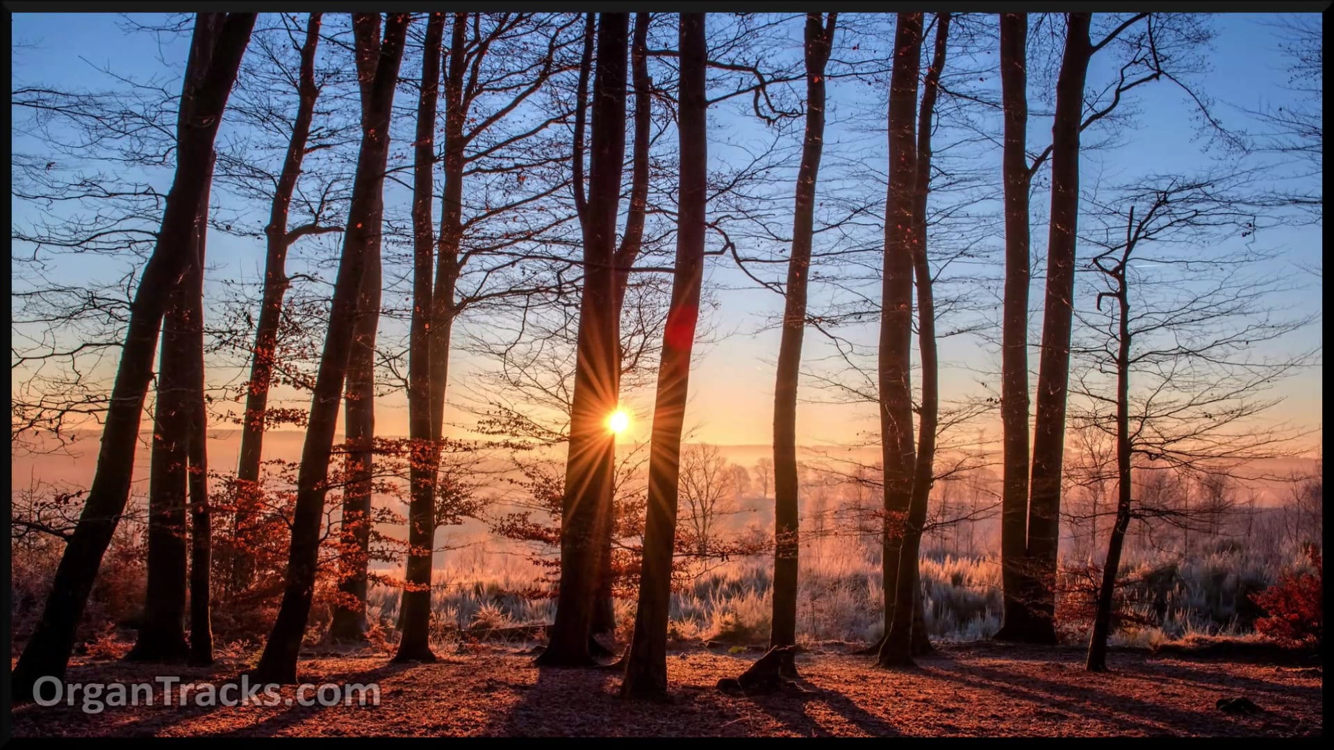 Christians Awake, Salute The Happy Morn (YORKSHIRE, 4 Verses)