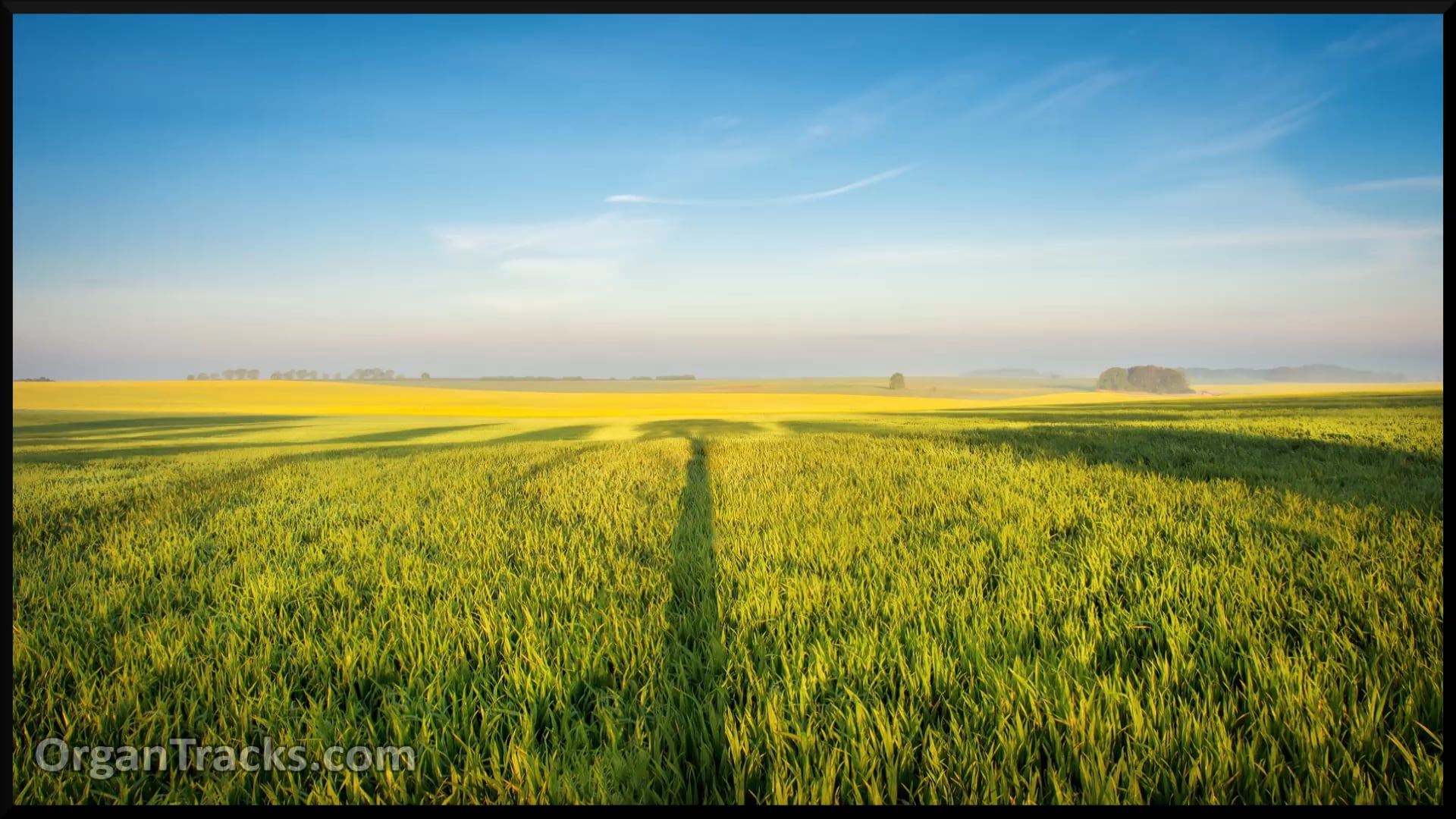 COUPERIN Fran.- Dialogue Sur Les Grands Jeux (XIV)