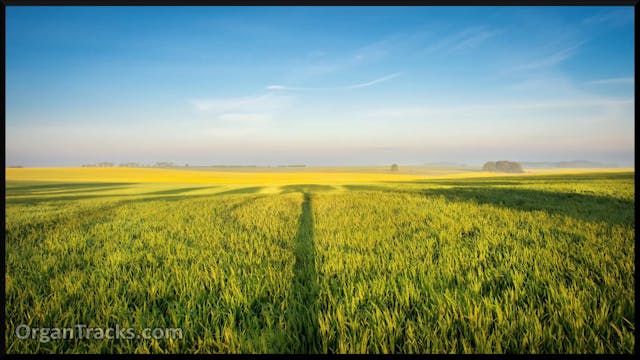 COUPERIN Fran.- Dialogue Sur Les Gran...