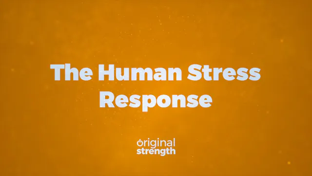 The Human Stress Response