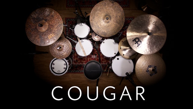 Cougar | Single Lesson