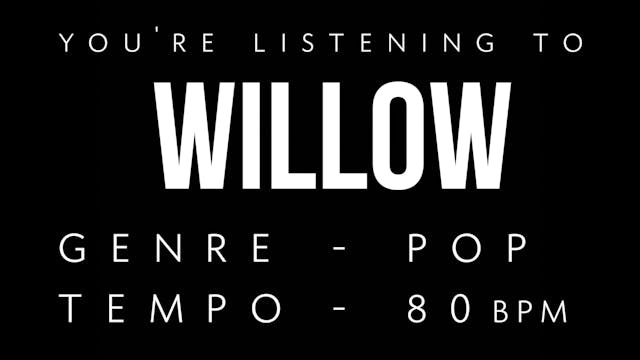 Willow Practice Loop