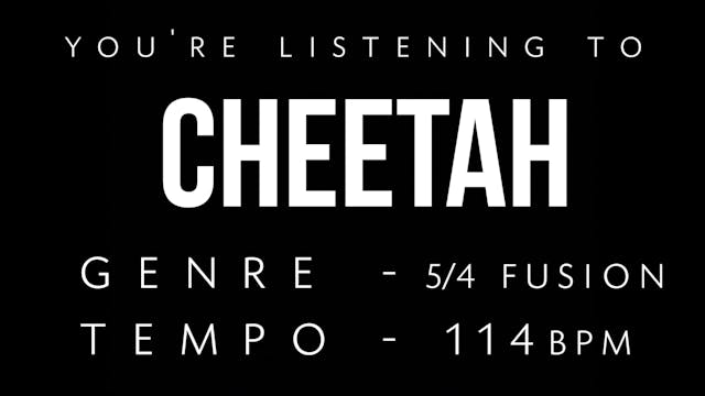 Cheetah Practice Loop